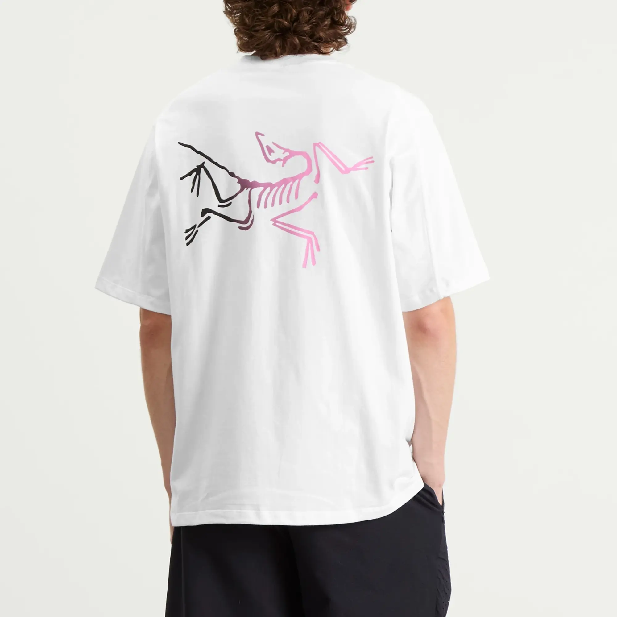 Arcteryx Kragg Logo T-Shirt - White Light / Multi