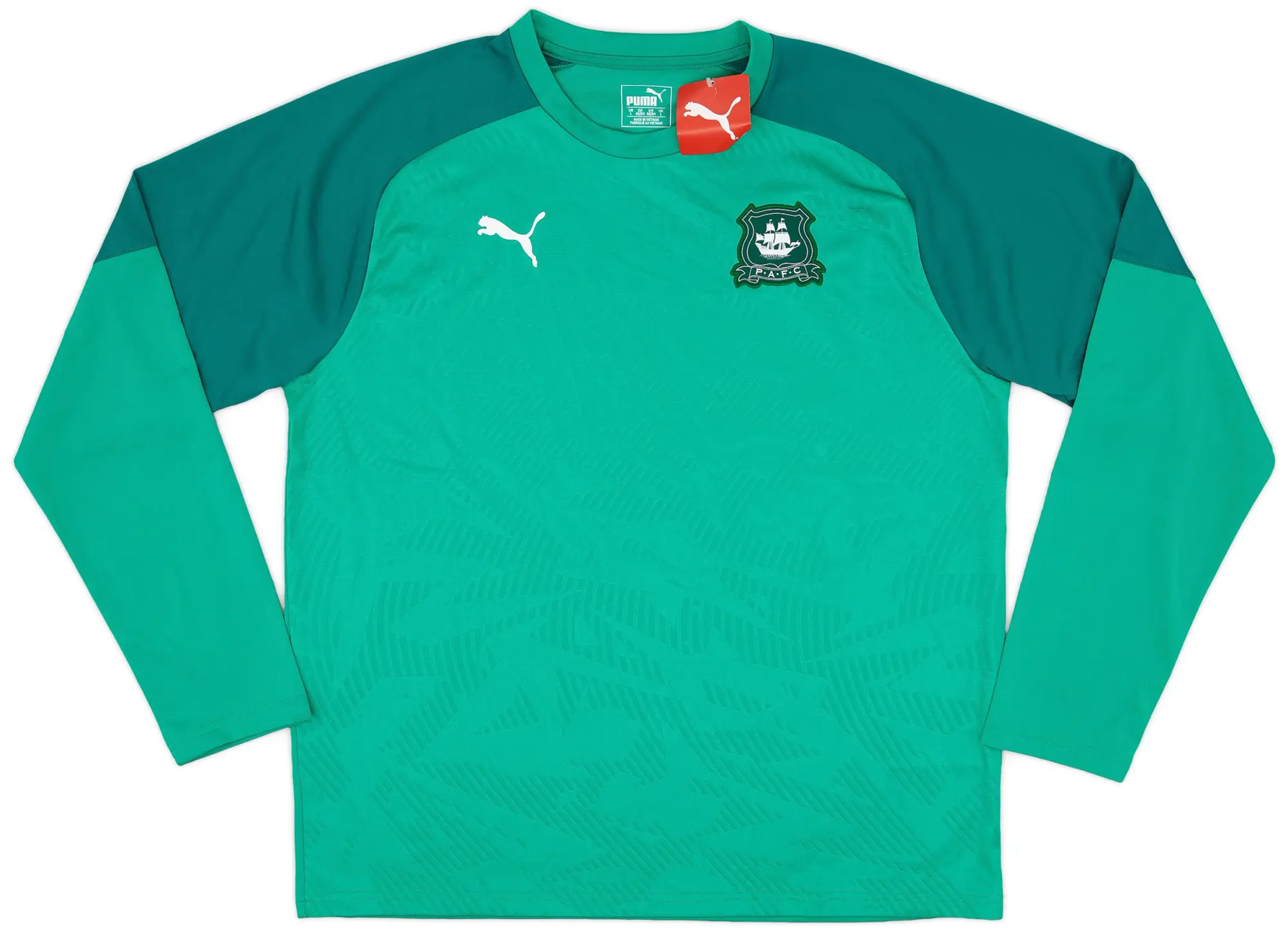 2018-19 Plymouth Puma Training L/S Shirt (L)