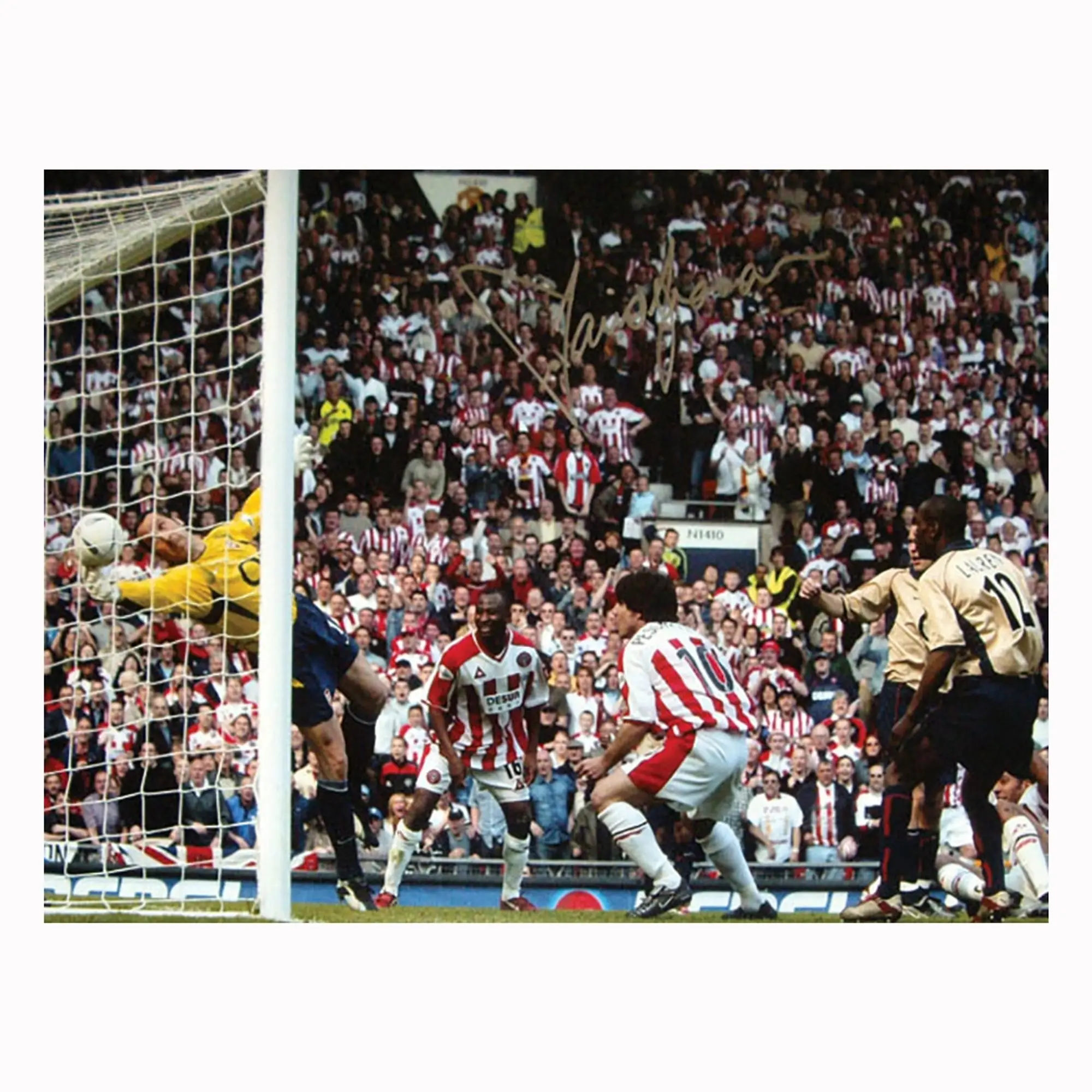Champion David Seaman signed Arsenal photo