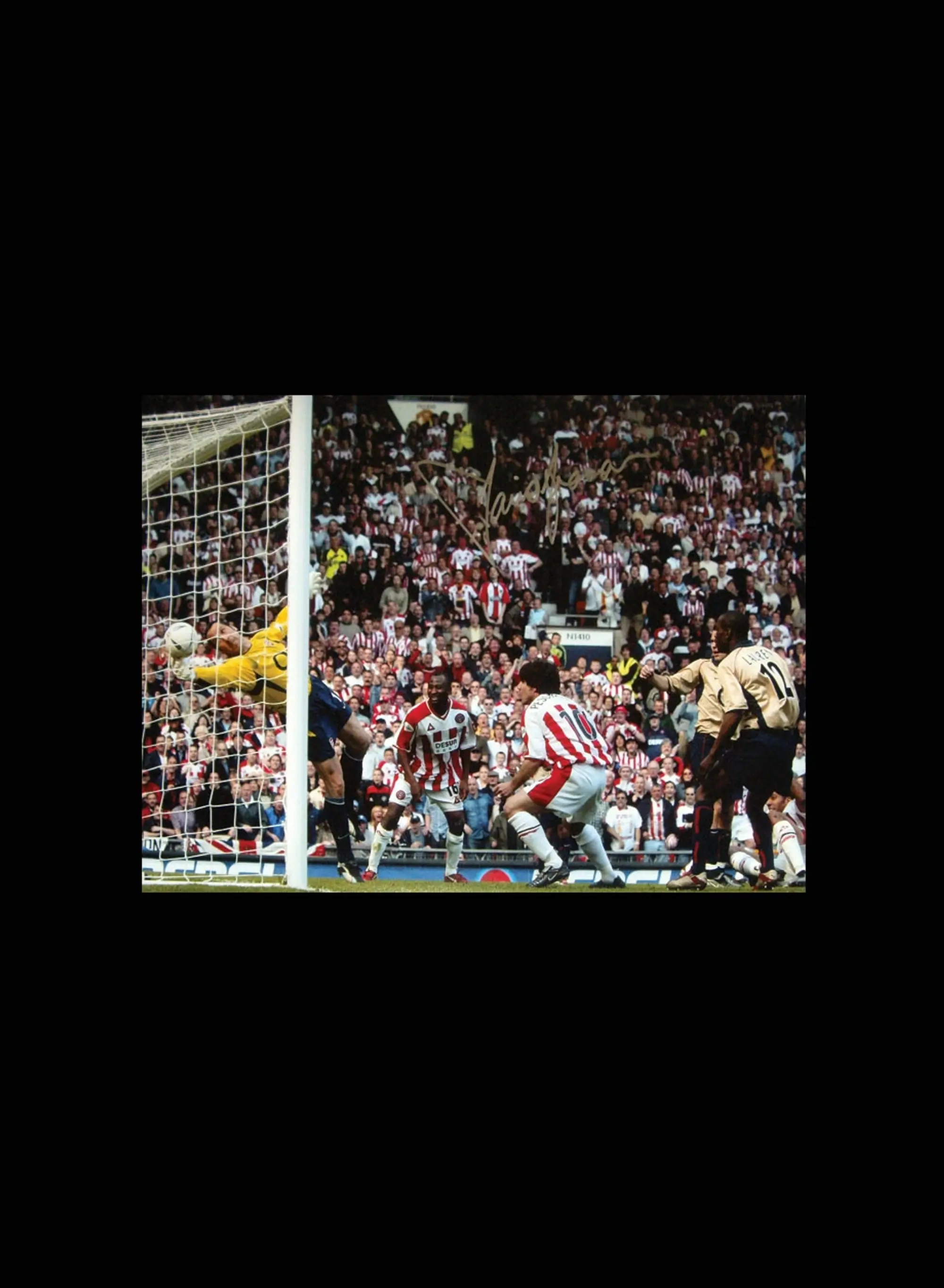 Champion David Seaman signed Arsenal photo