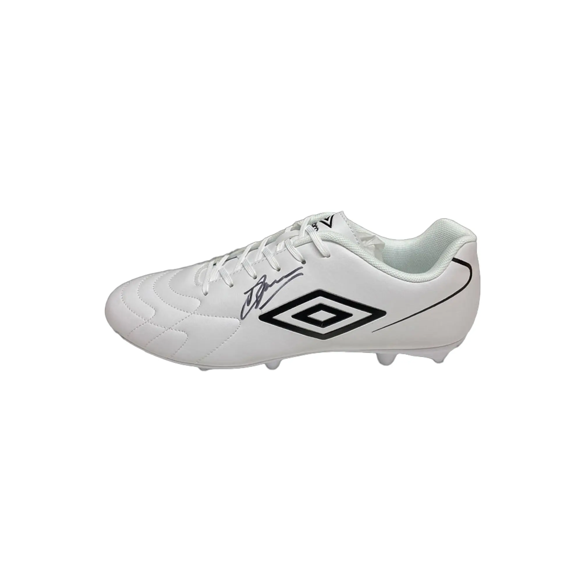 Champion Dennis Bergkamp signed football boot