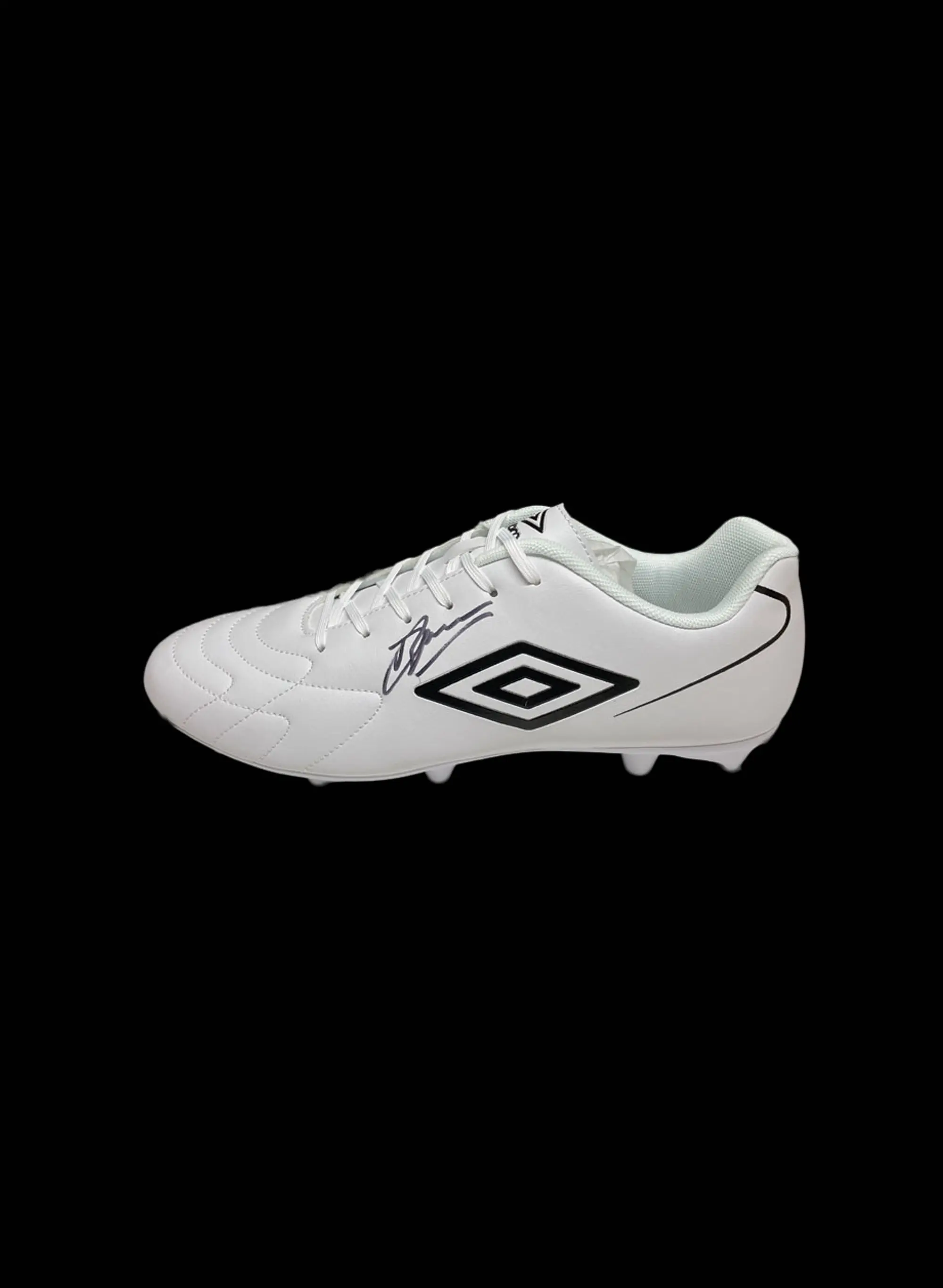 Champion Dennis Bergkamp signed football boot