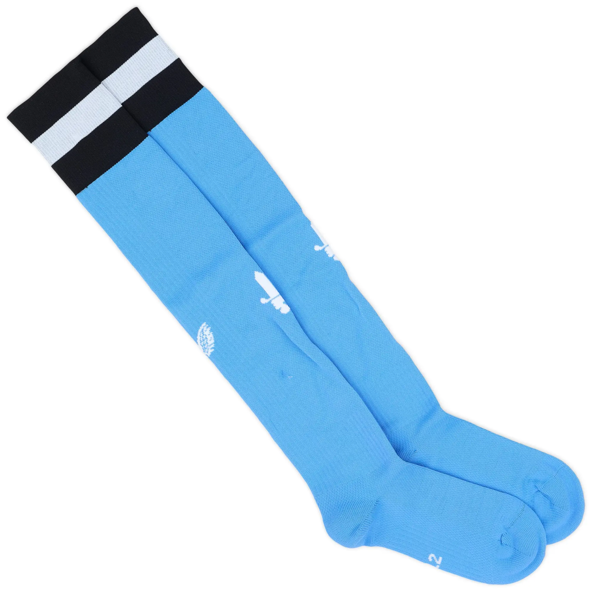 Castore 2022-23 Charlton GK Away Socks (UK 6-9)