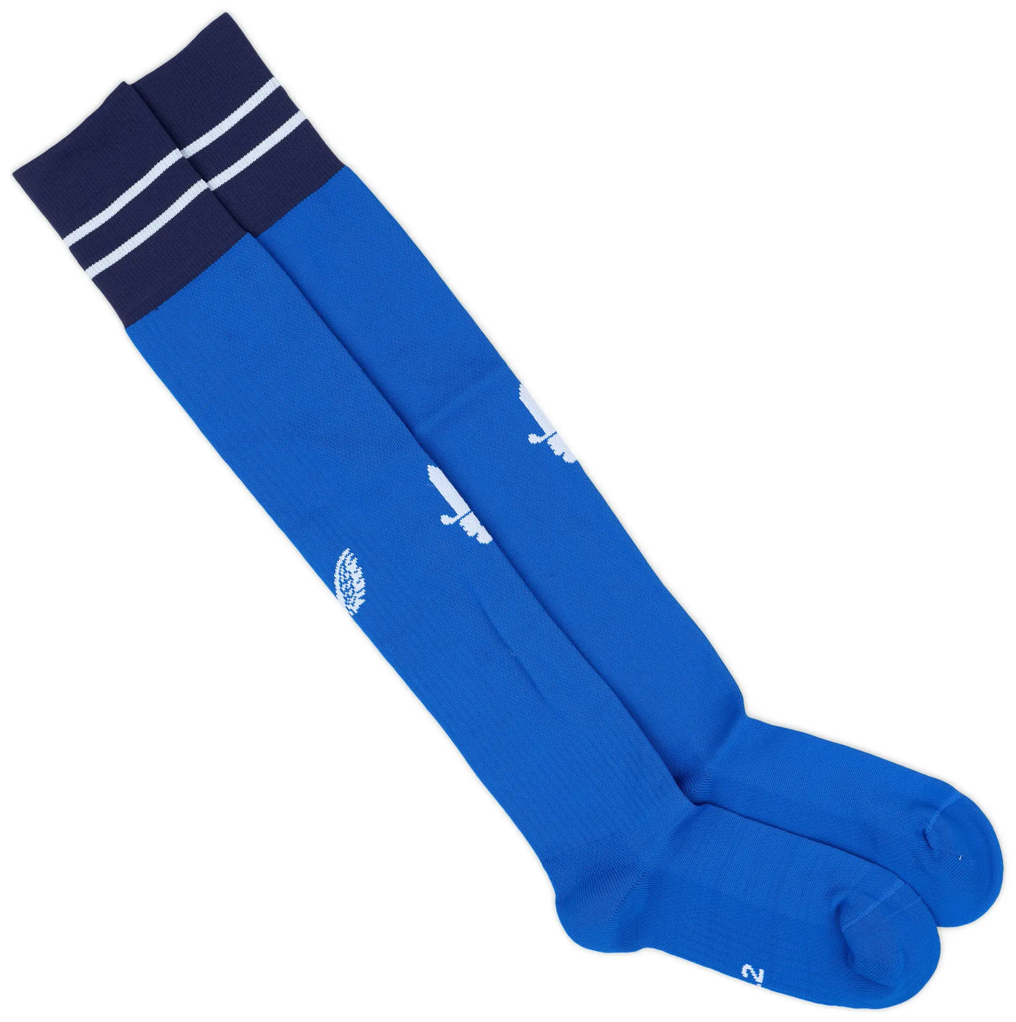 Castore 2022-23 Charlton Third Socks (UK 9-12)