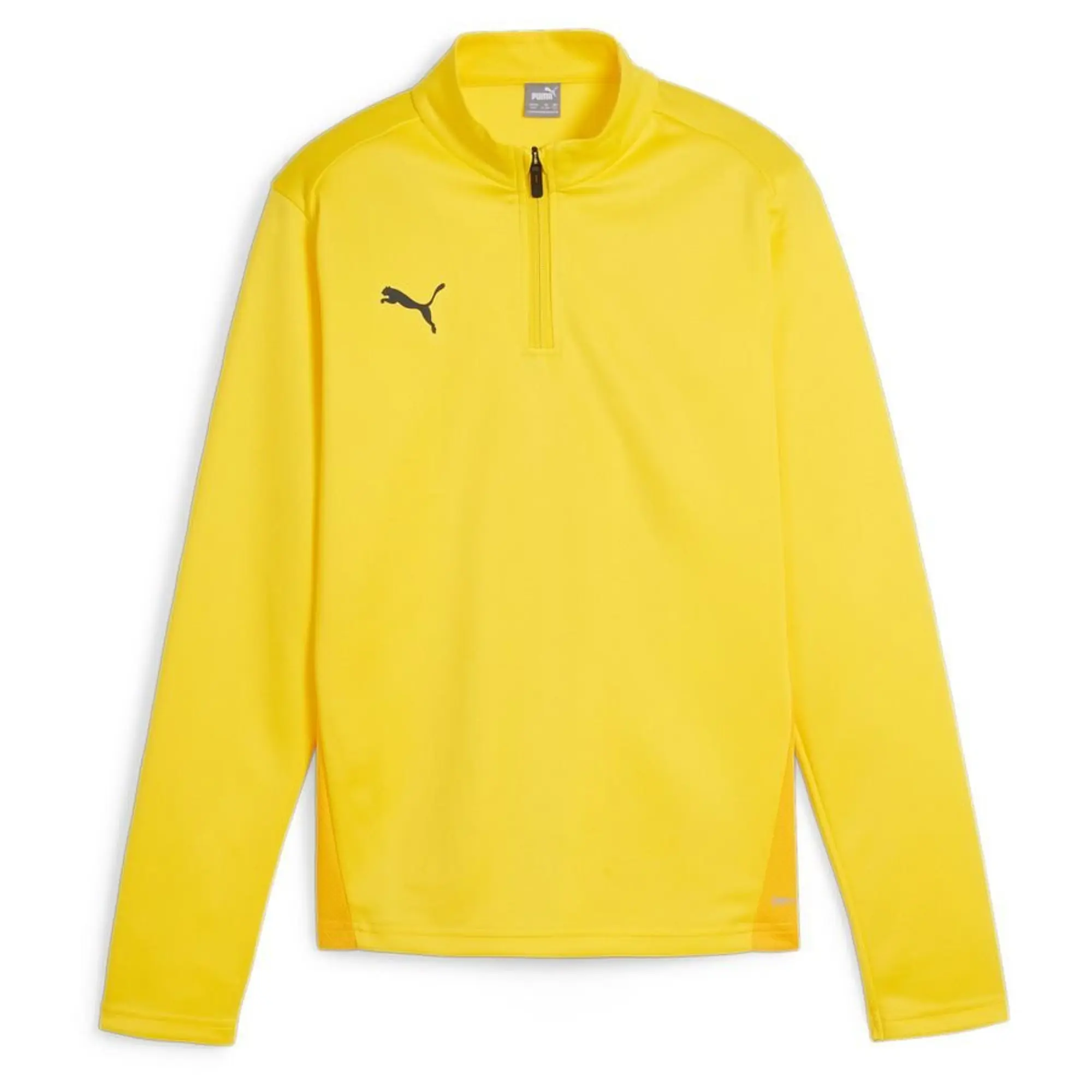 Puma Junior teamGOAL 24 1 4 Zip Training Top
