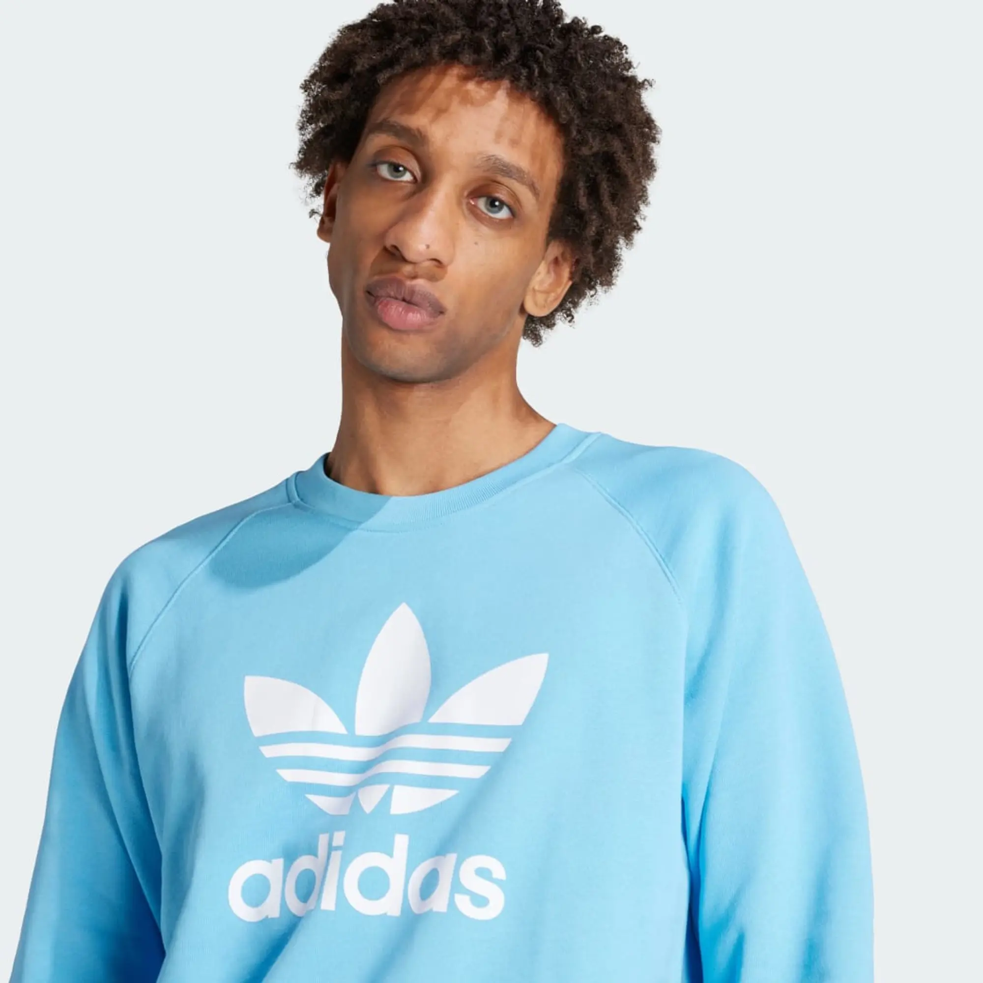adidas Adicolor Classics Trefoil Crewneck Sweatshirt