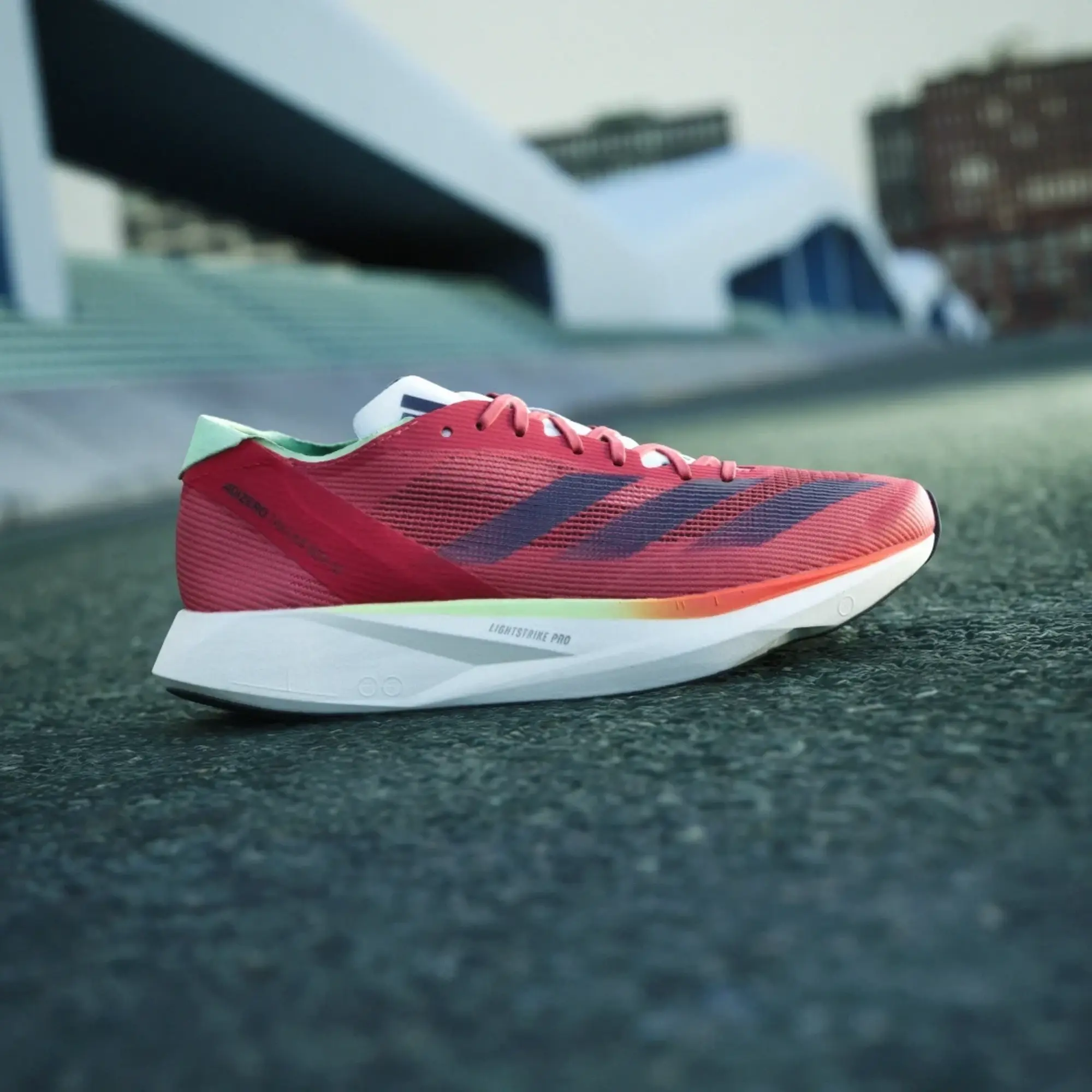 adidas Women Adizero Takumi Sen 10 Shoes