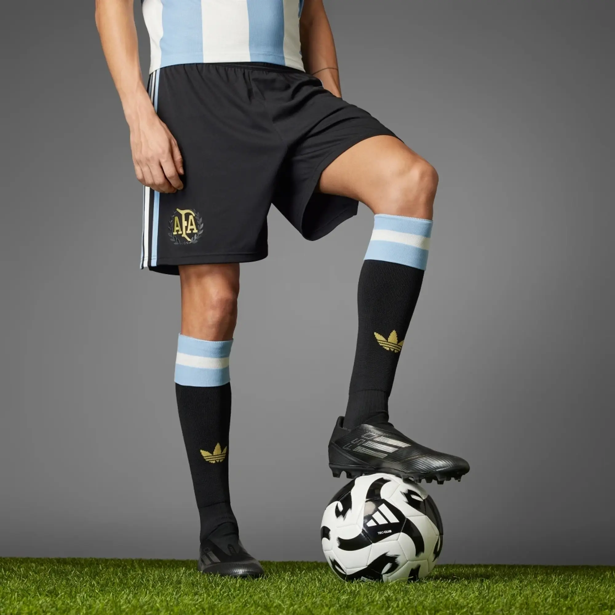 adidas Argentina Anniversary Shorts