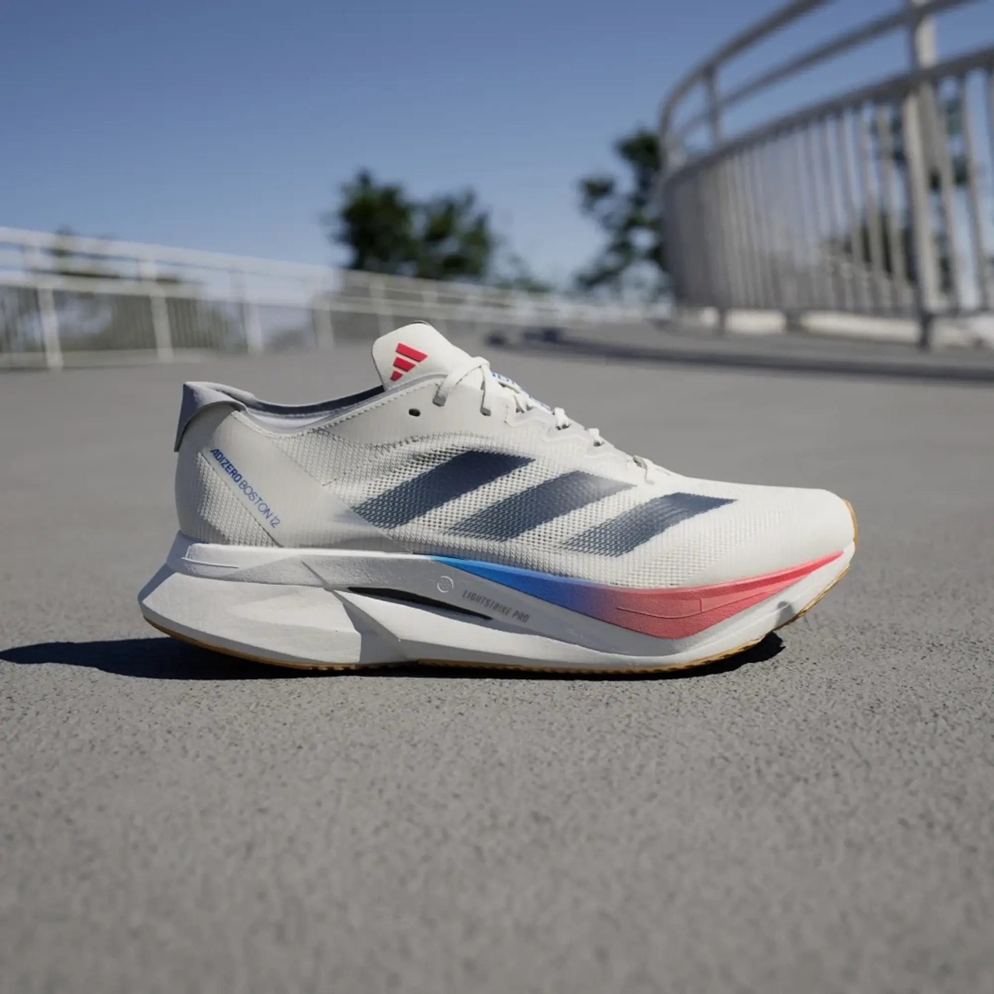 Adidas Adizero Boston 12 Running Shoes