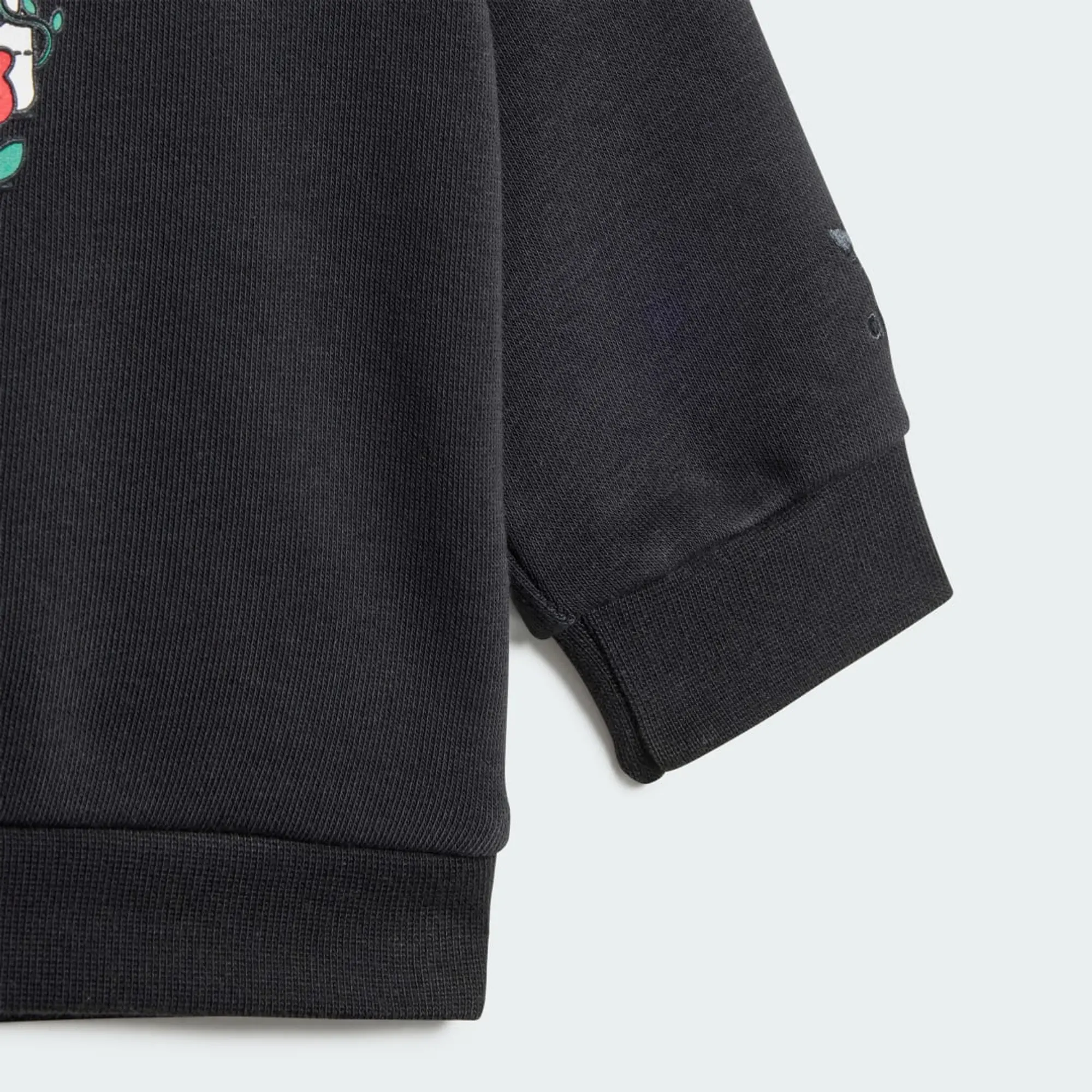 adidas Graphics Hoodie