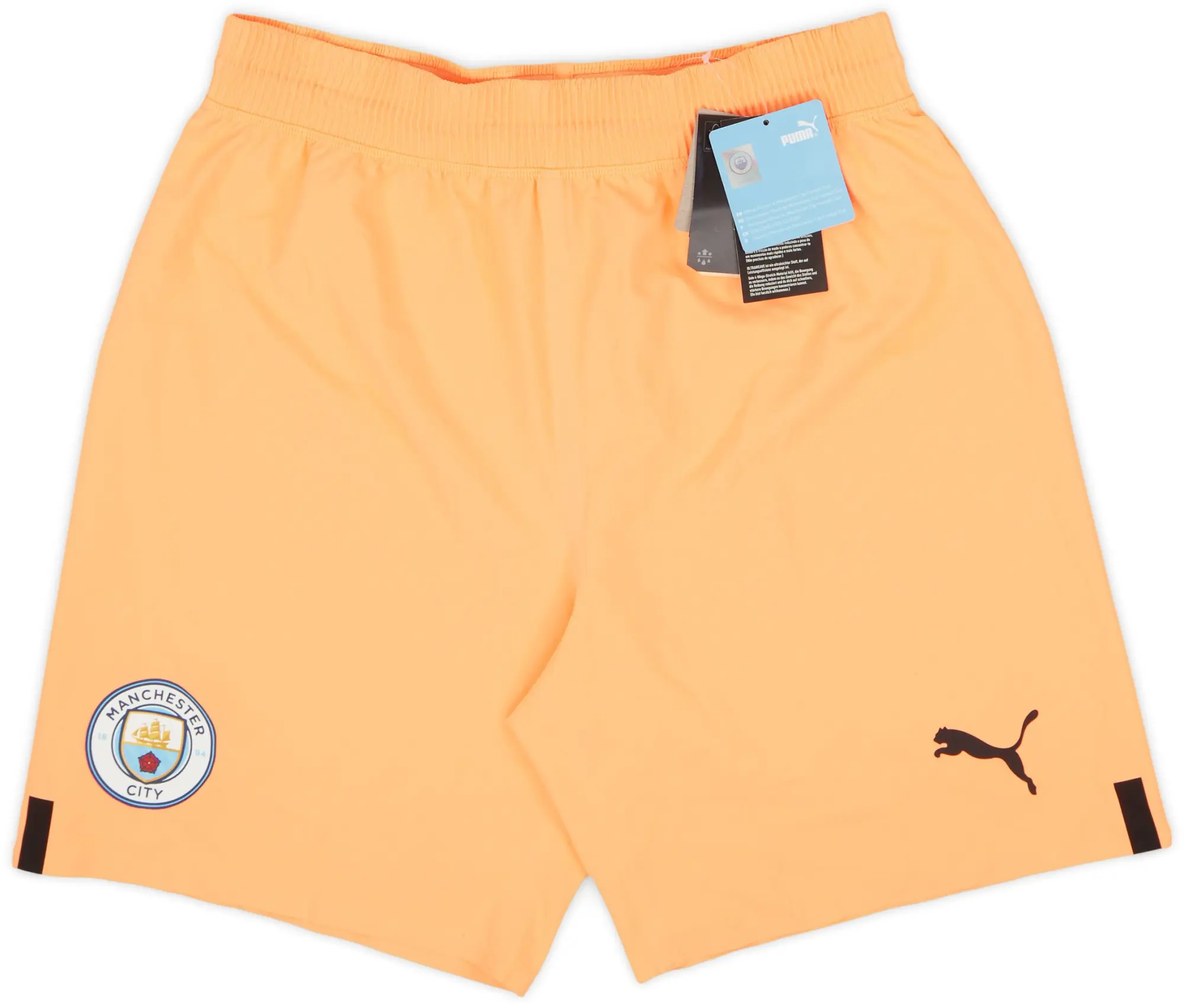Puma 2022-23 Manchester City Authentic GK Shorts (M)