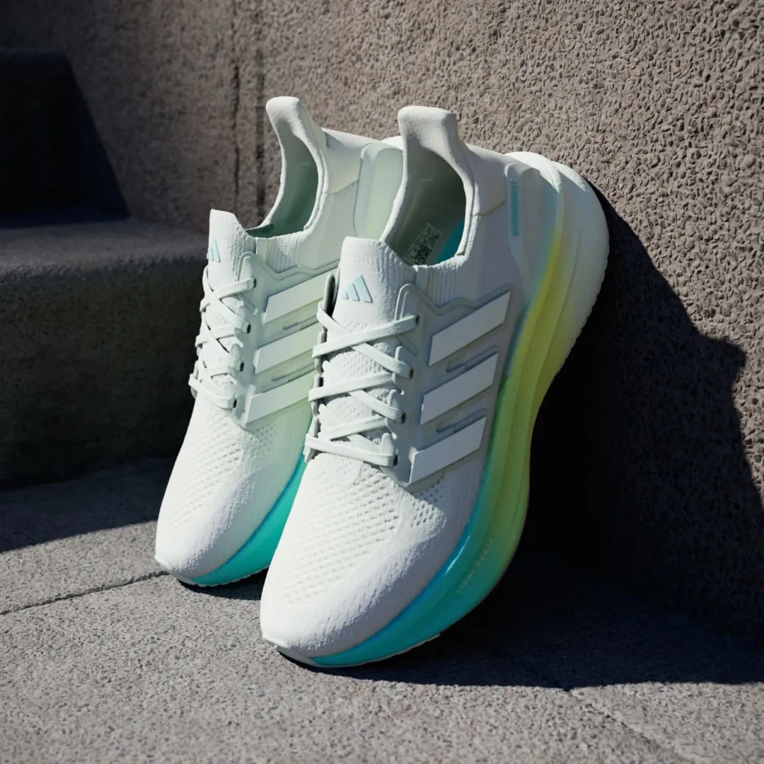 adidas gazelle silver green womens Adidas x Concepts