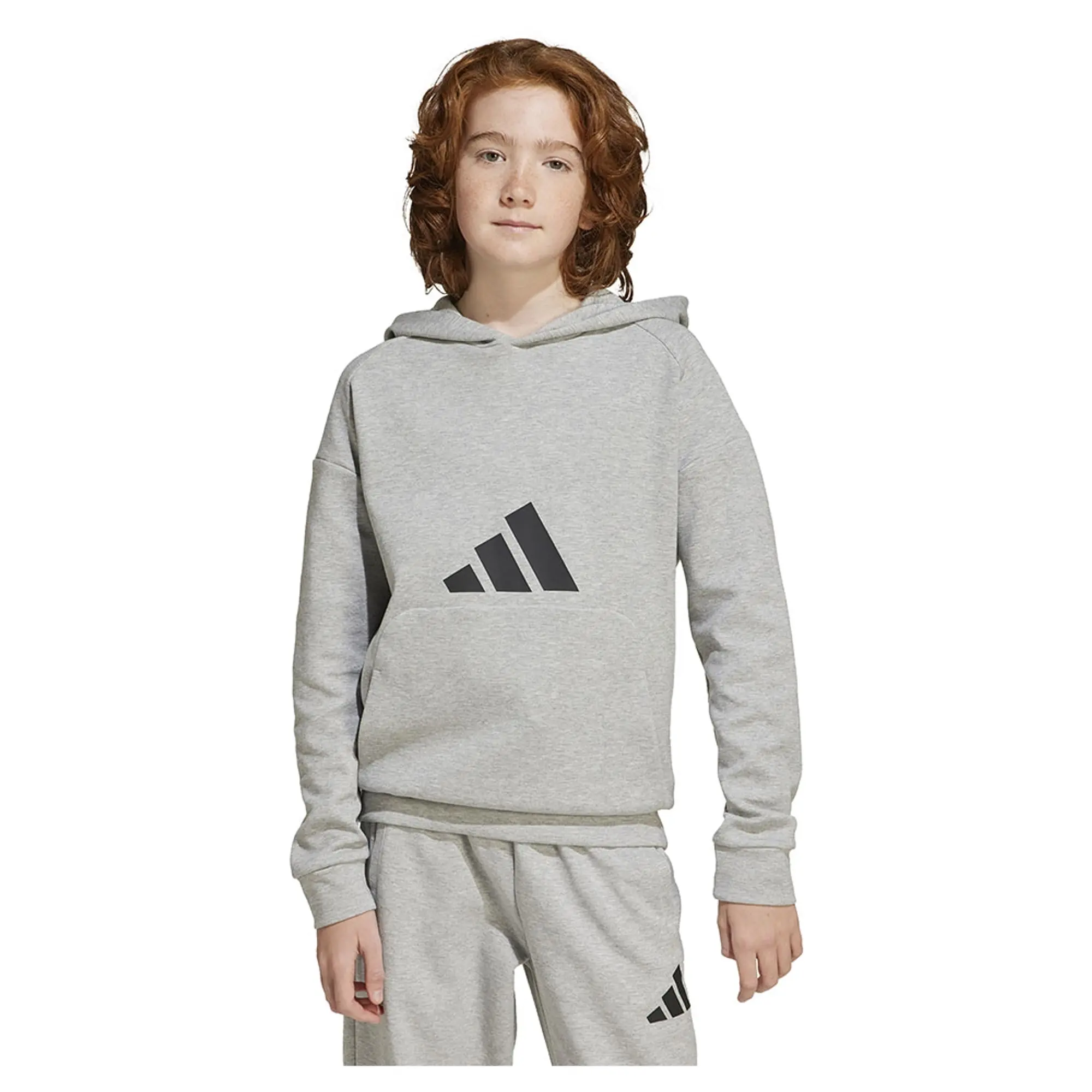 Adidas Future Icons Logo Hoodie