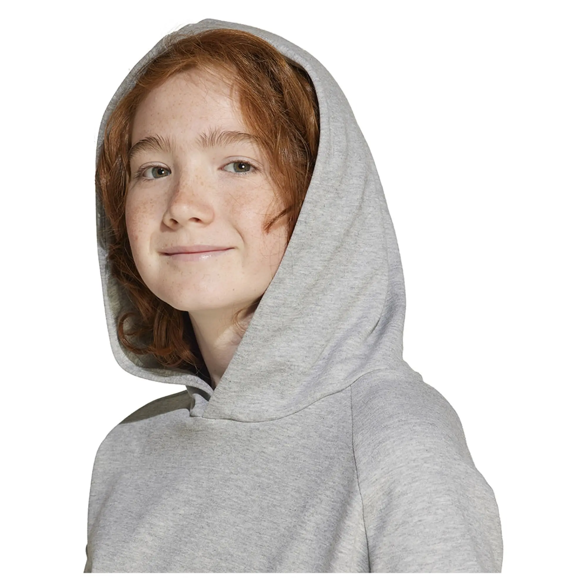 Adidas Future Icons Logo Hoodie