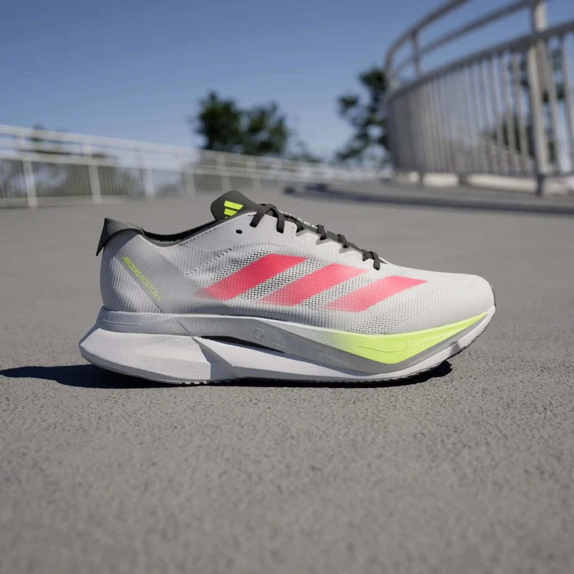 adidas Adizero Boston 12 Running Shoes