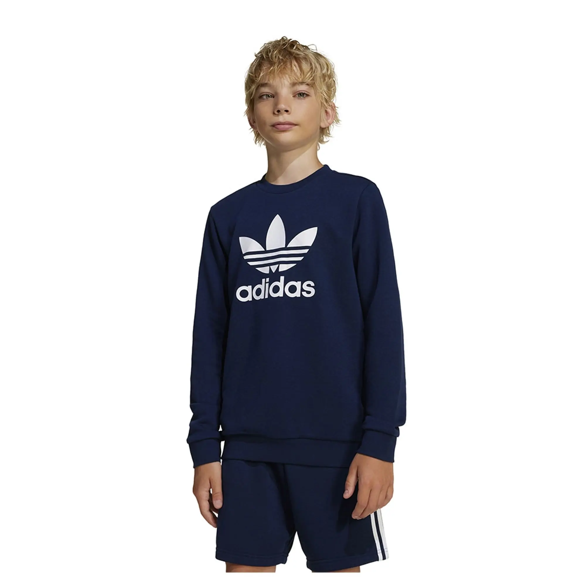 Adidas Originals Trefoil Sweatshirt
