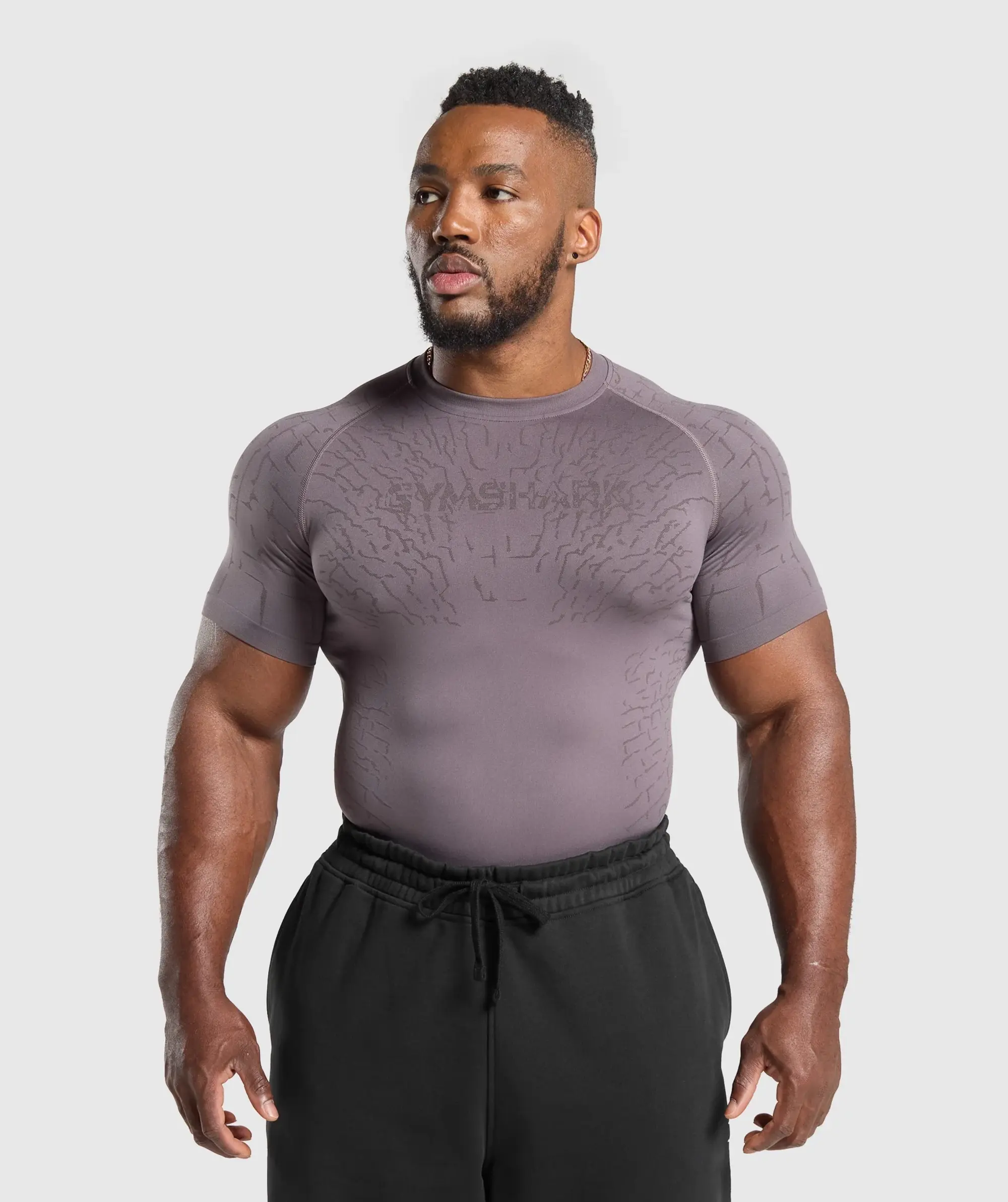 Gymshark Tectonic Seamless T Shirt - Brushed Purple/Greyed Purple