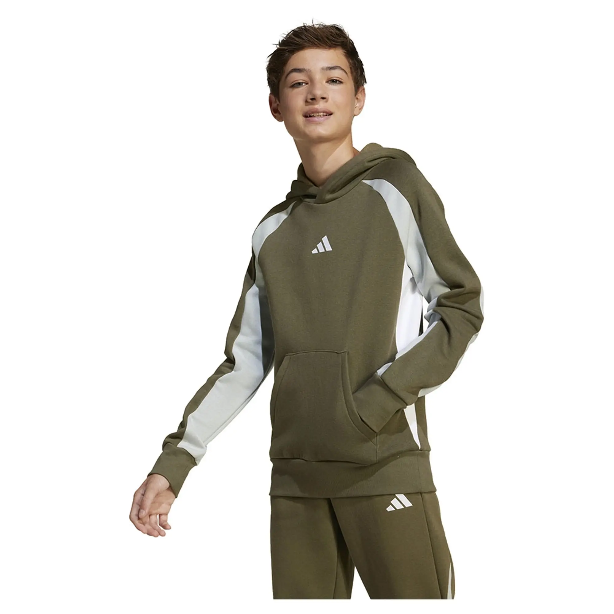 Adidas Seasonal Essentials Colorblock Fleece Hoodie