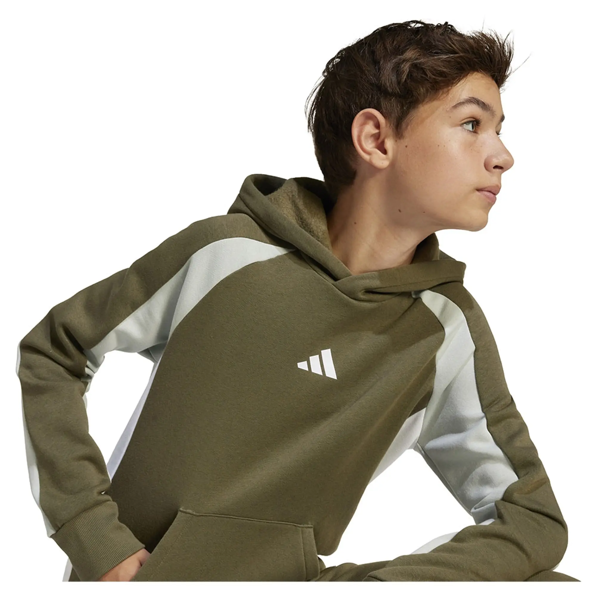 Adidas Seasonal Essentials Colorblock Fleece Hoodie