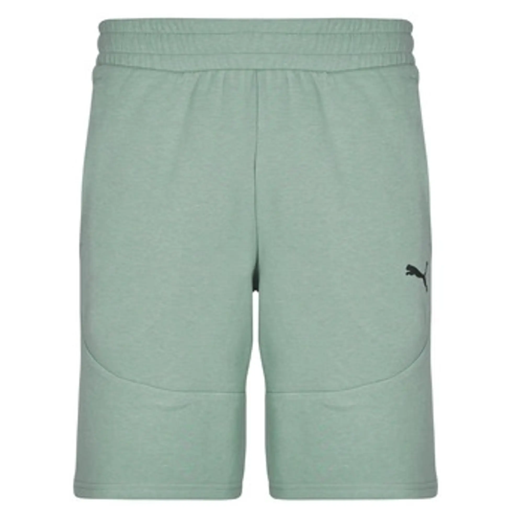 Puma  PUMATECH SHORTS  men's Shorts in Blue