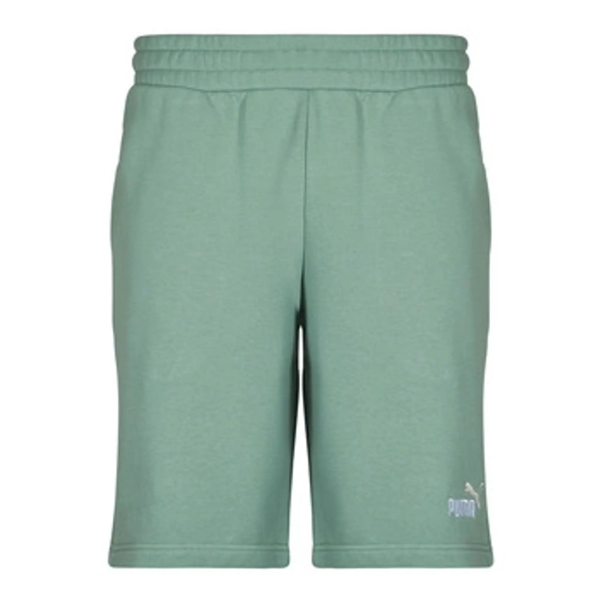 Puma  ESS 2 COLOR LOGO SHORT  men's Shorts in Green