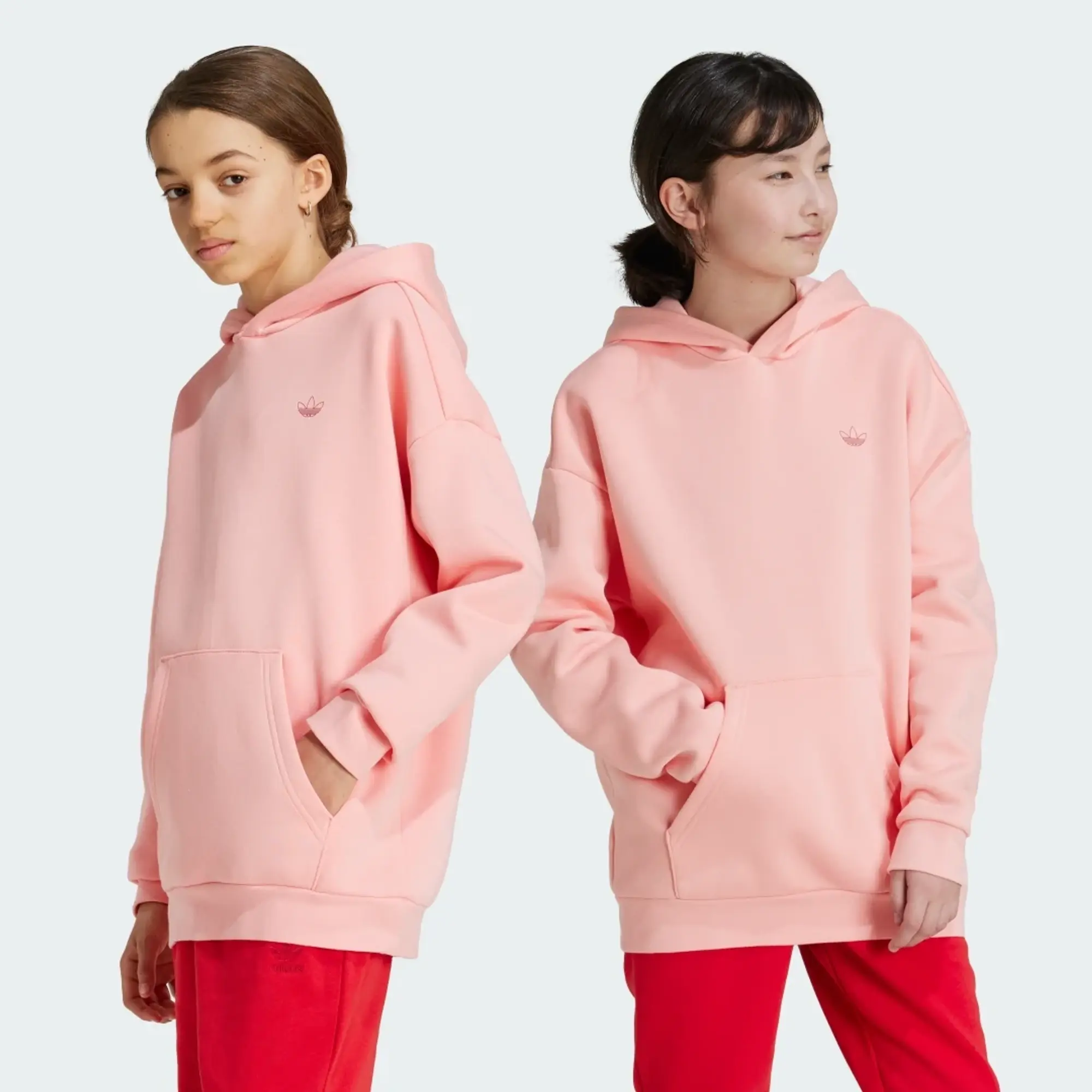 adidas Graphic Hoodie Kids