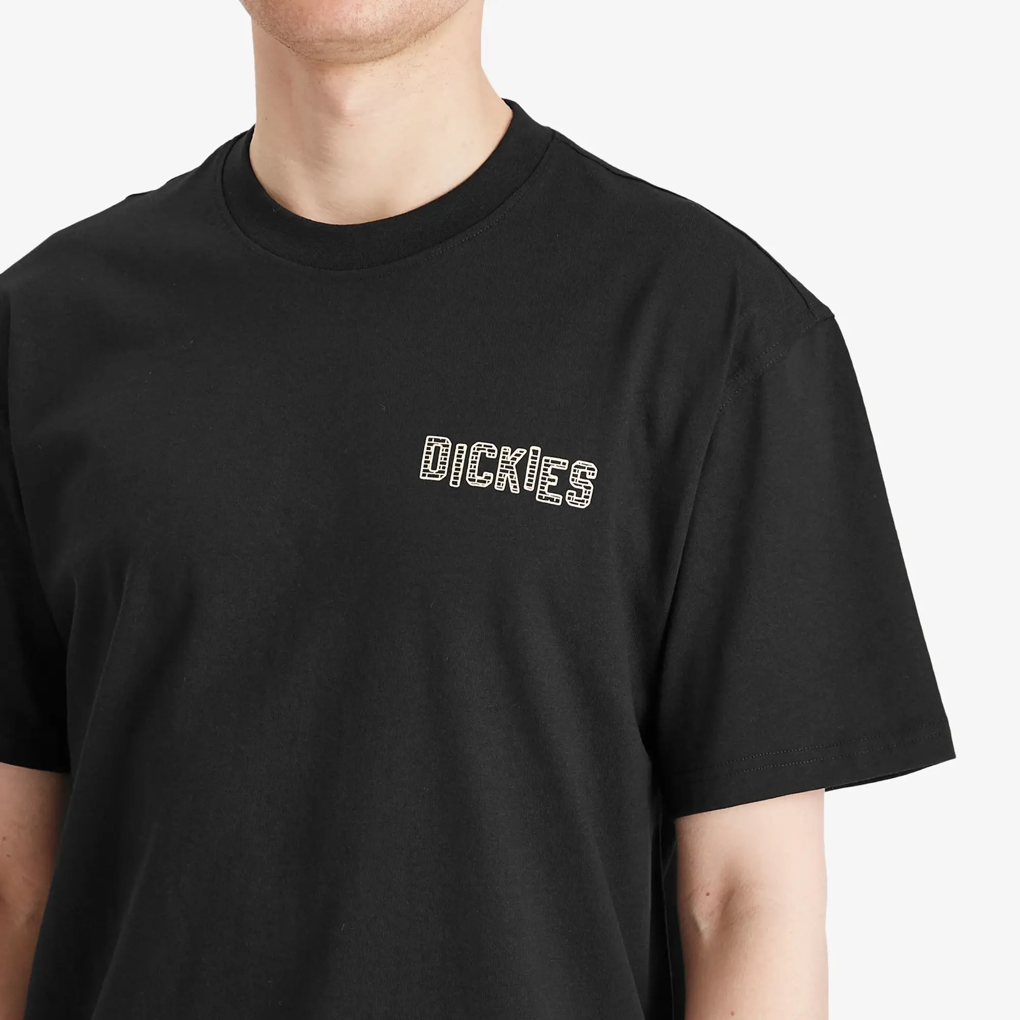 Dickies Bricklane Graphic Back Print T-Shirt In Black