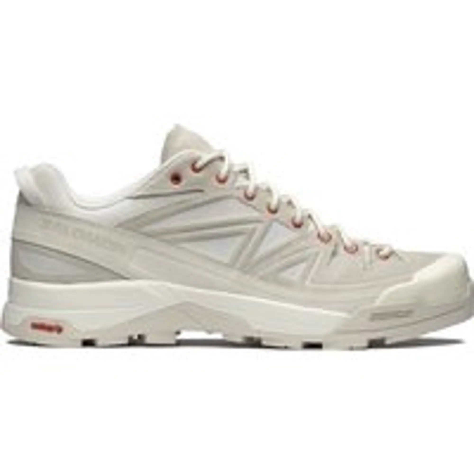 Salomon X ALP PANHUI