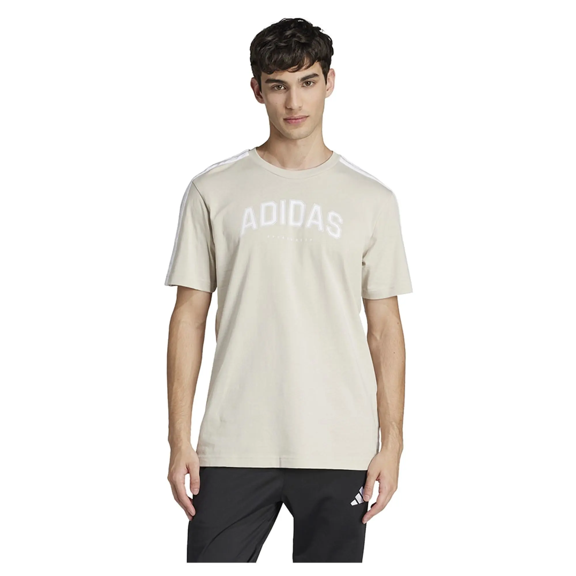 Adidas Codes Collegiate Linear Graphic Short Sleeve T-shirt
