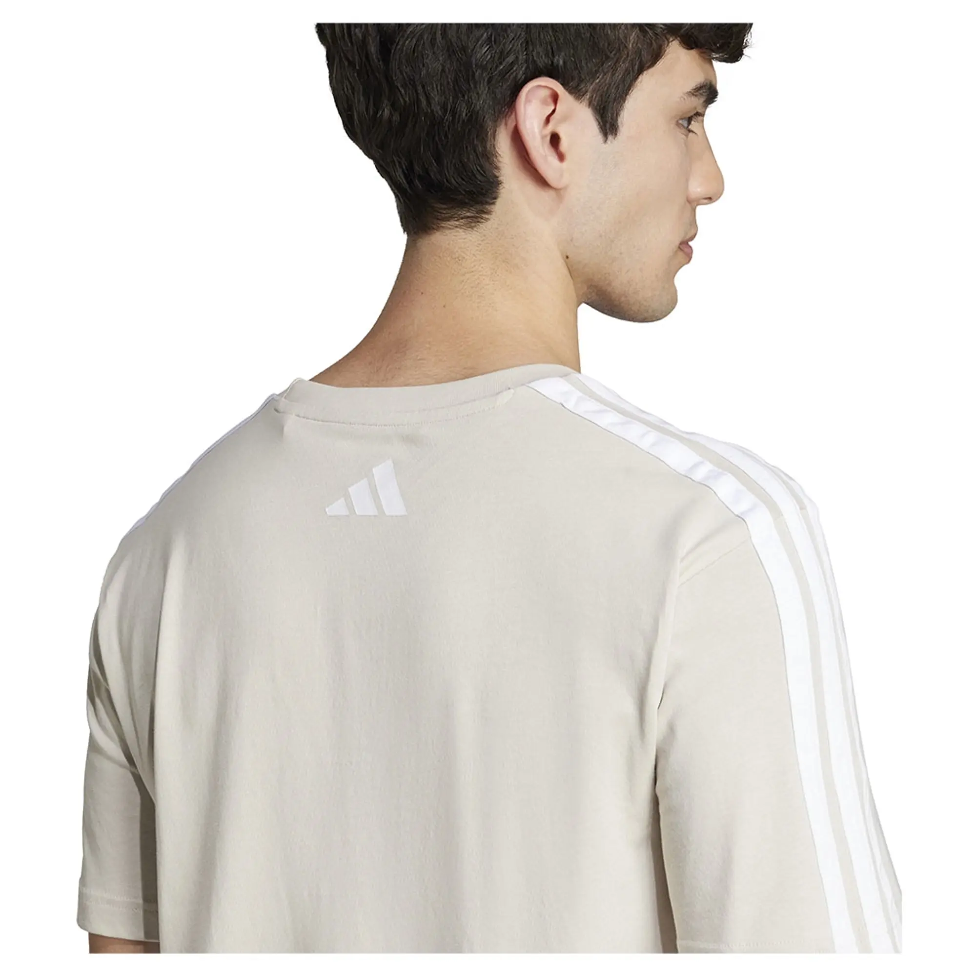 Adidas Codes Collegiate Linear Graphic Short Sleeve T-shirt