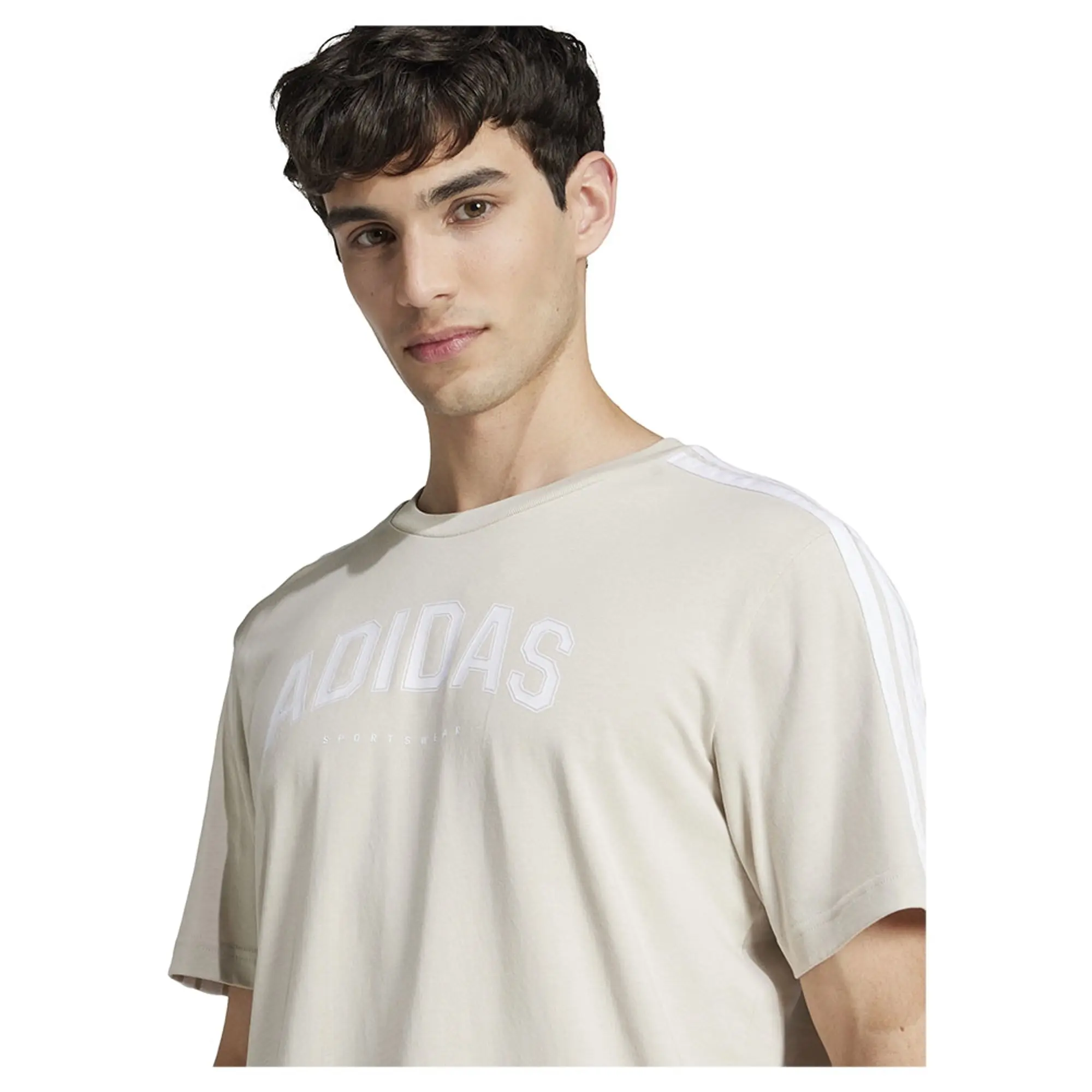 Adidas Codes Collegiate Linear Graphic Short Sleeve T-shirt