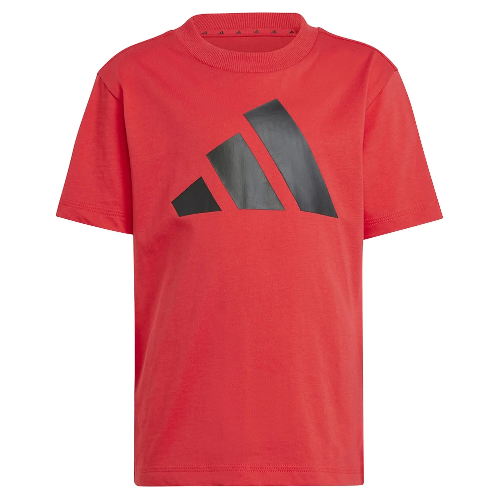 Adidas Originals Adicolor Oversized Short Sleeve T-shirt