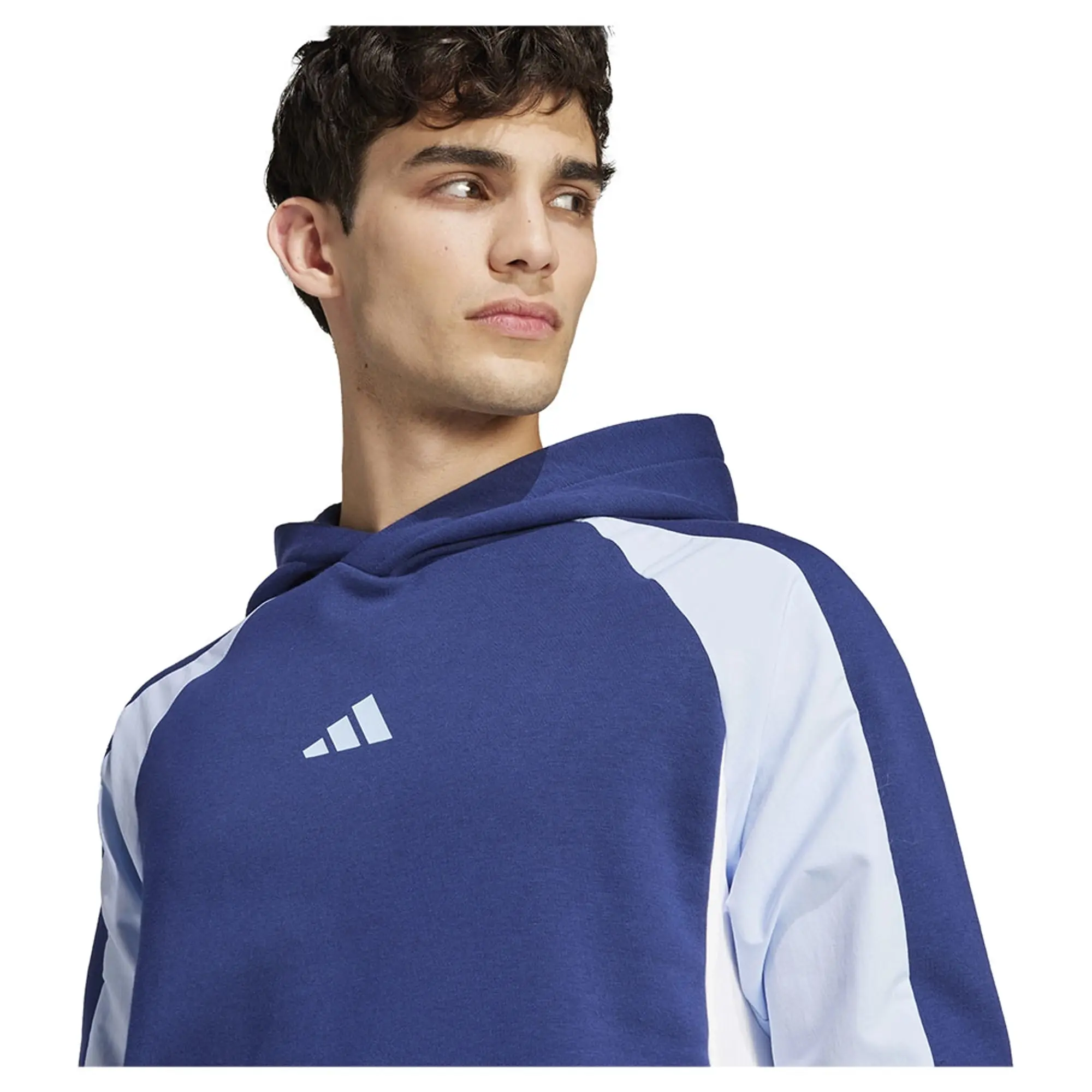 Adidas Seasonal Essentials Colorblock Hoodie