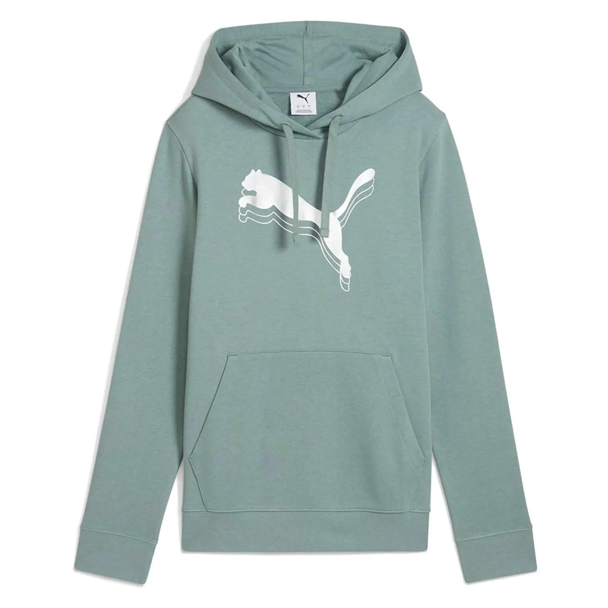 Puma Select Ess Metallic Regular Fit Hoodie