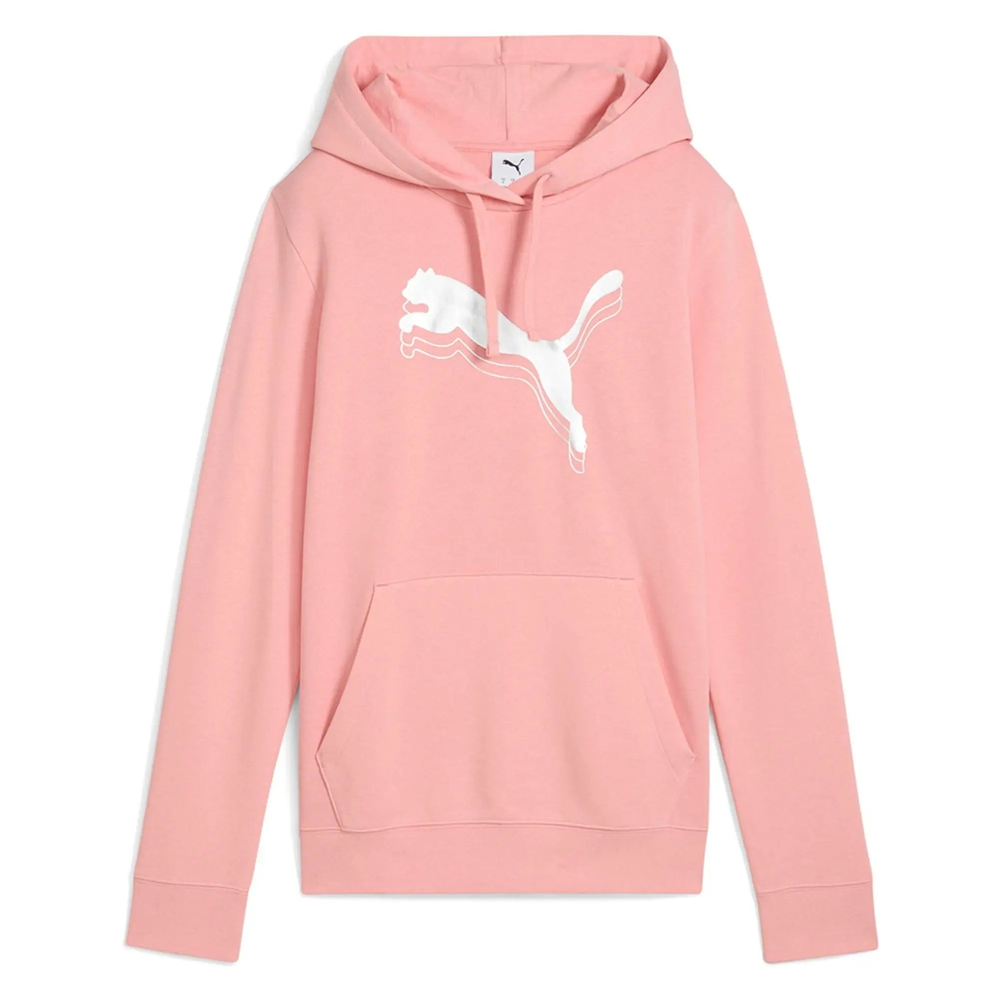 Puma Select Ess Metallic Regular Fit Hoodie