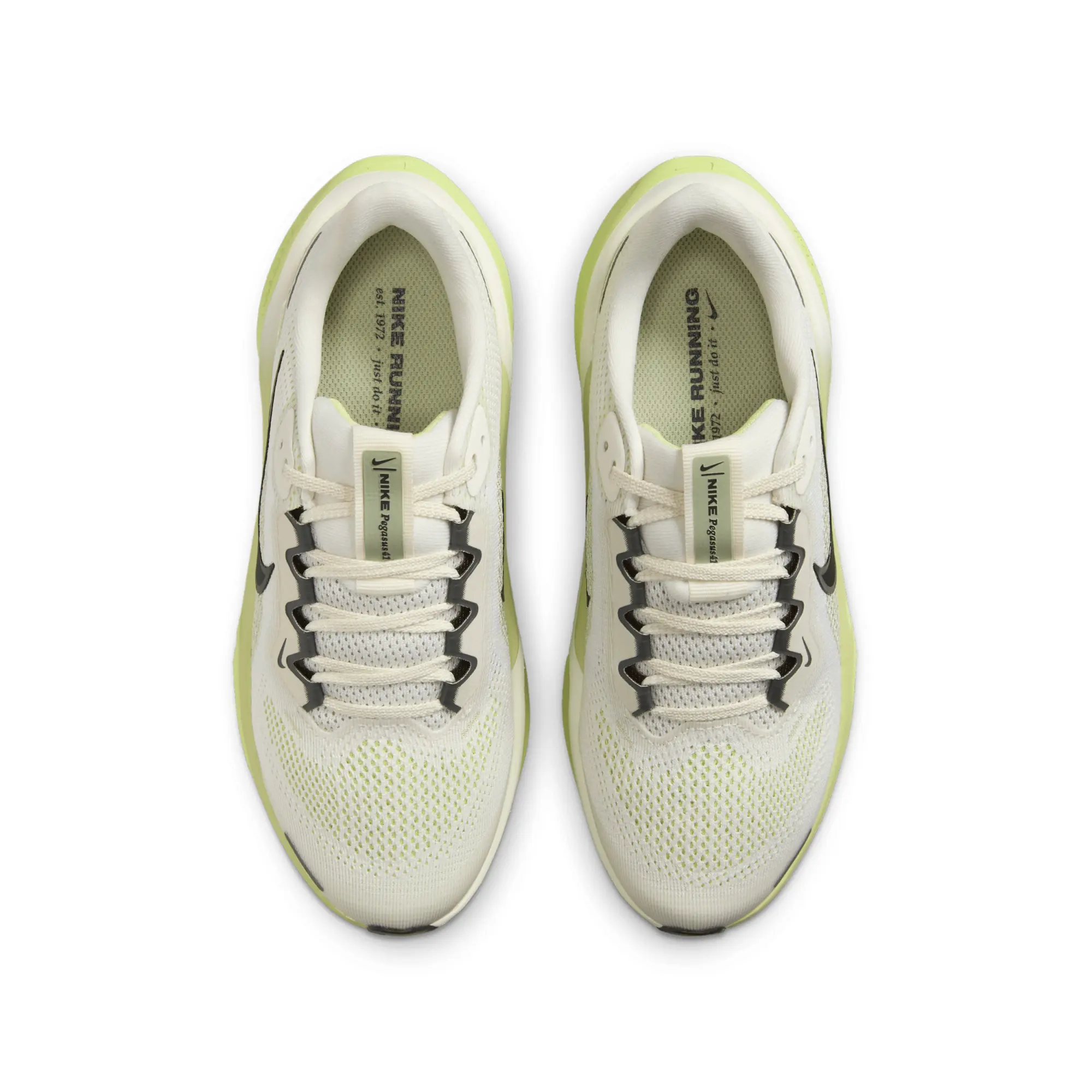 Nike Air Zoom Pegasus 41 (Gs) Pale Ivory/Sq-Lmlght-Olv Ar - ['Brown']