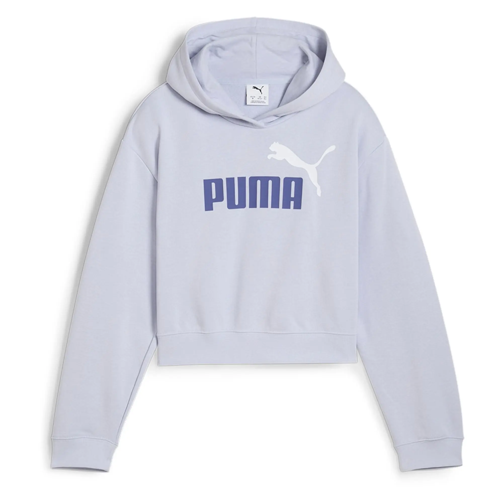 Puma Ess 2 Color Nº1 Logo Hoodie