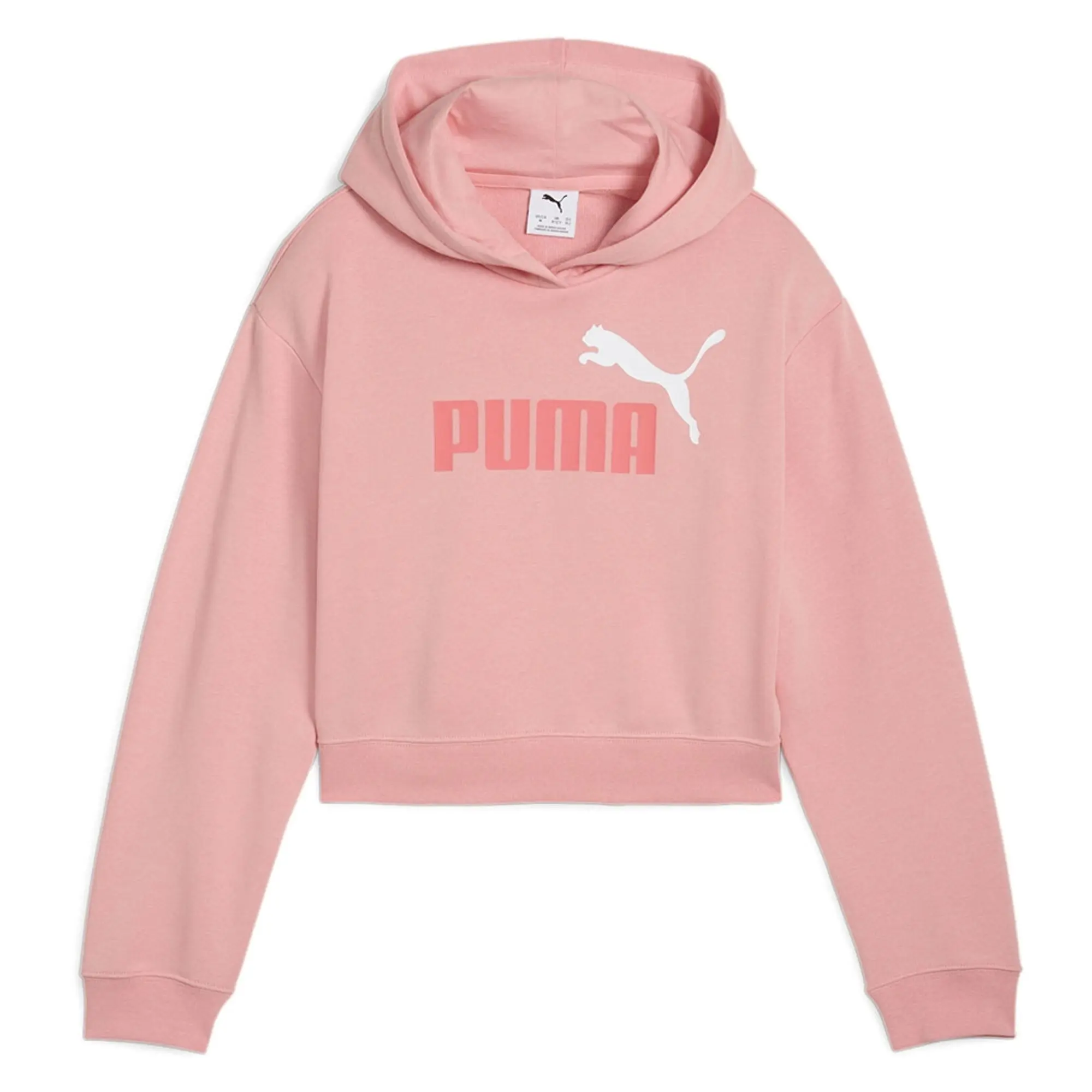 Puma Ess 2 Color Nº1 Logo Hoodie