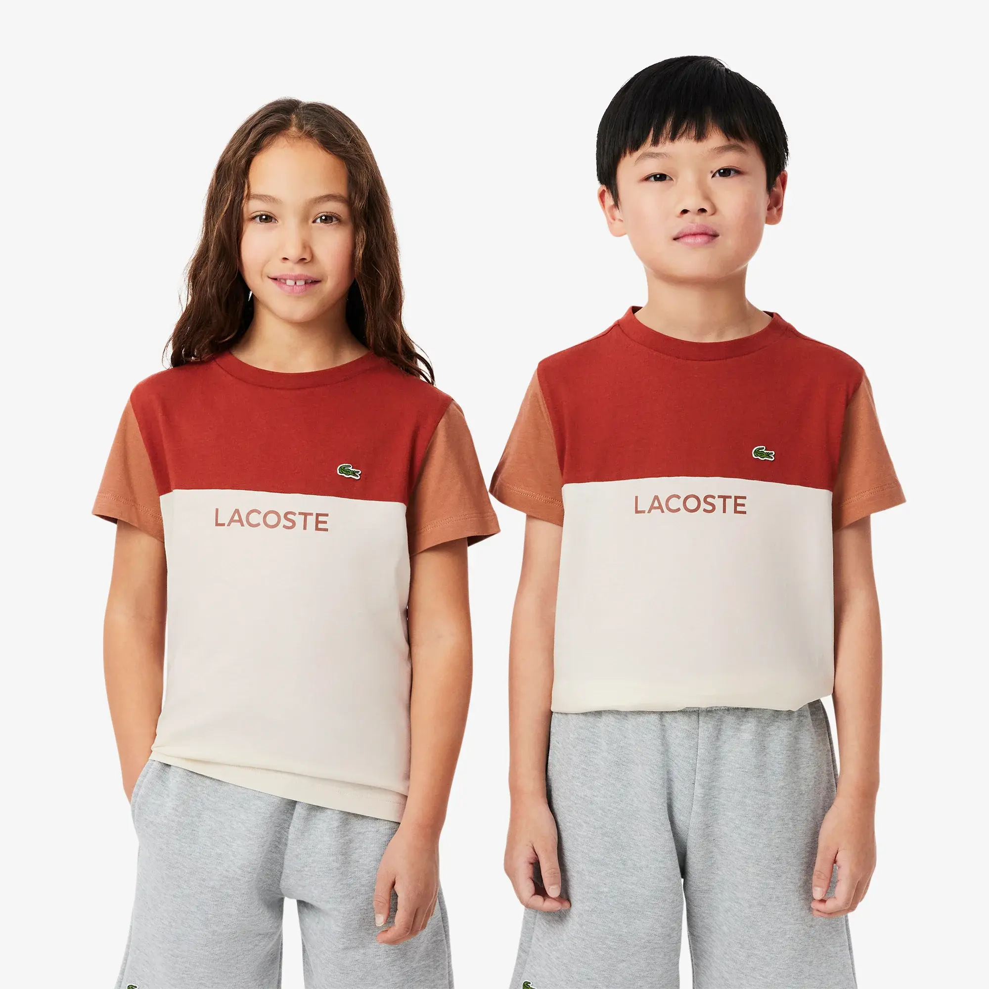 Lacoste Cotton Colour-Block T-shirt - Brown / Light Brown / White