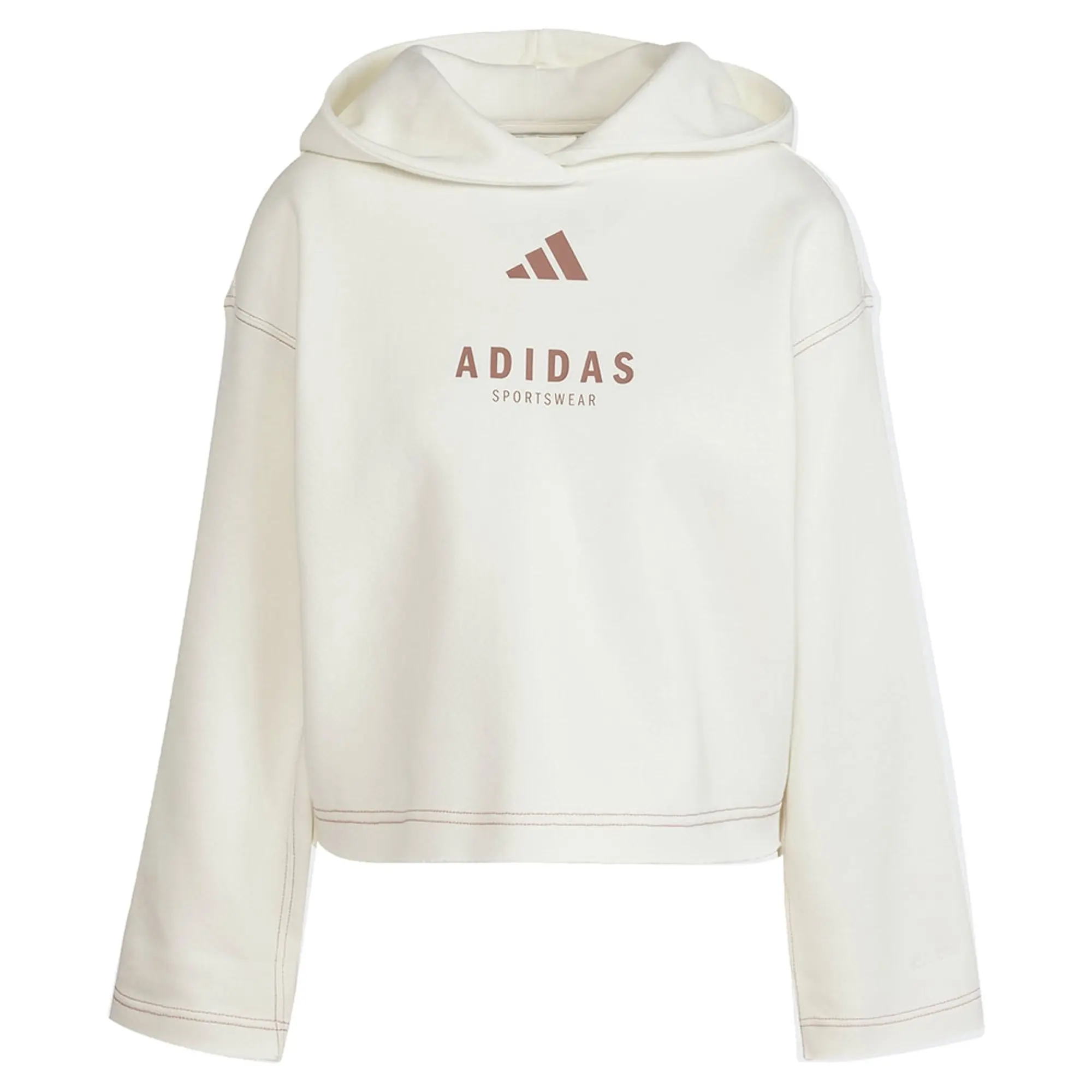 Adidas All Szn Loose Graphic Hoodie