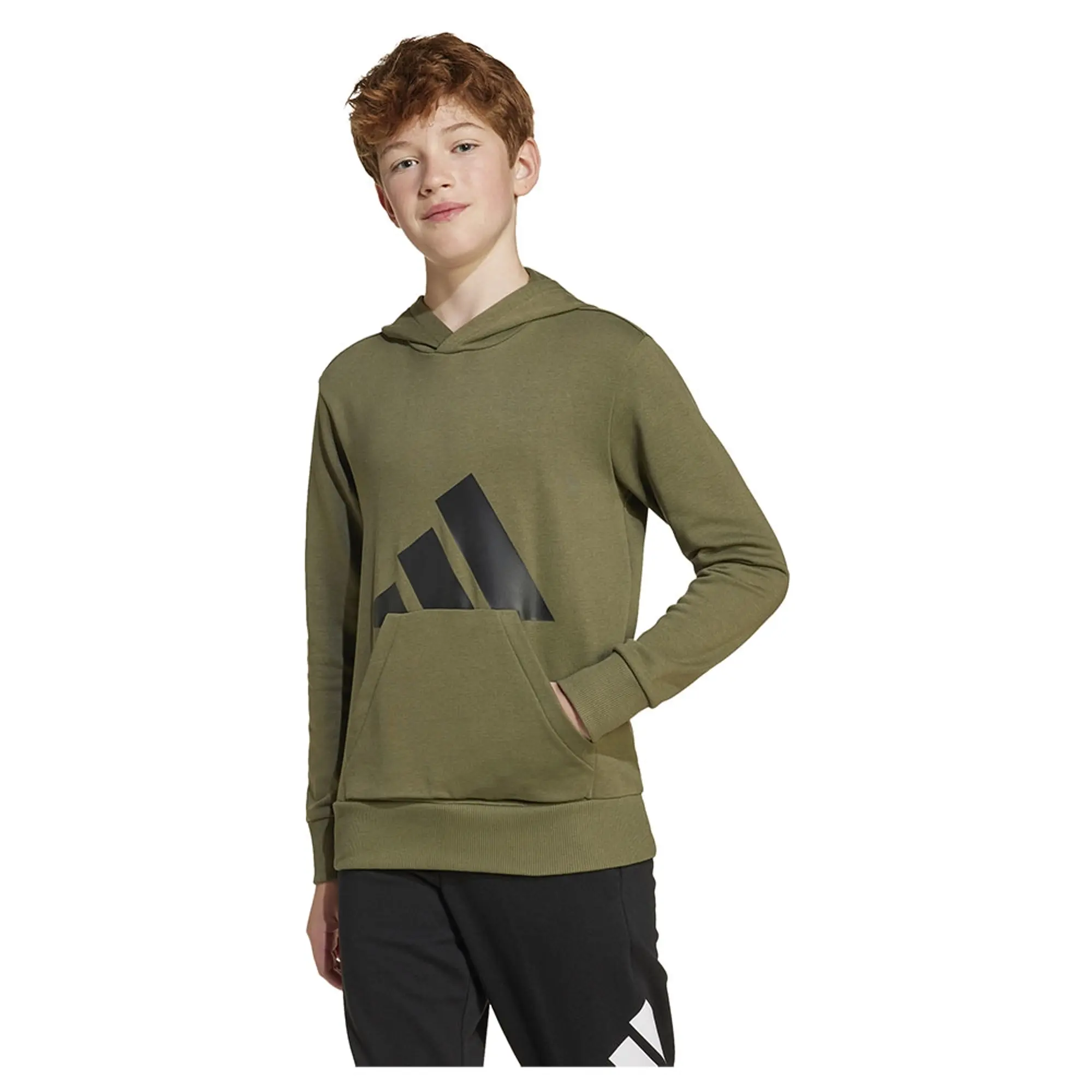 Adidas Essentials Big Logo Hoodie