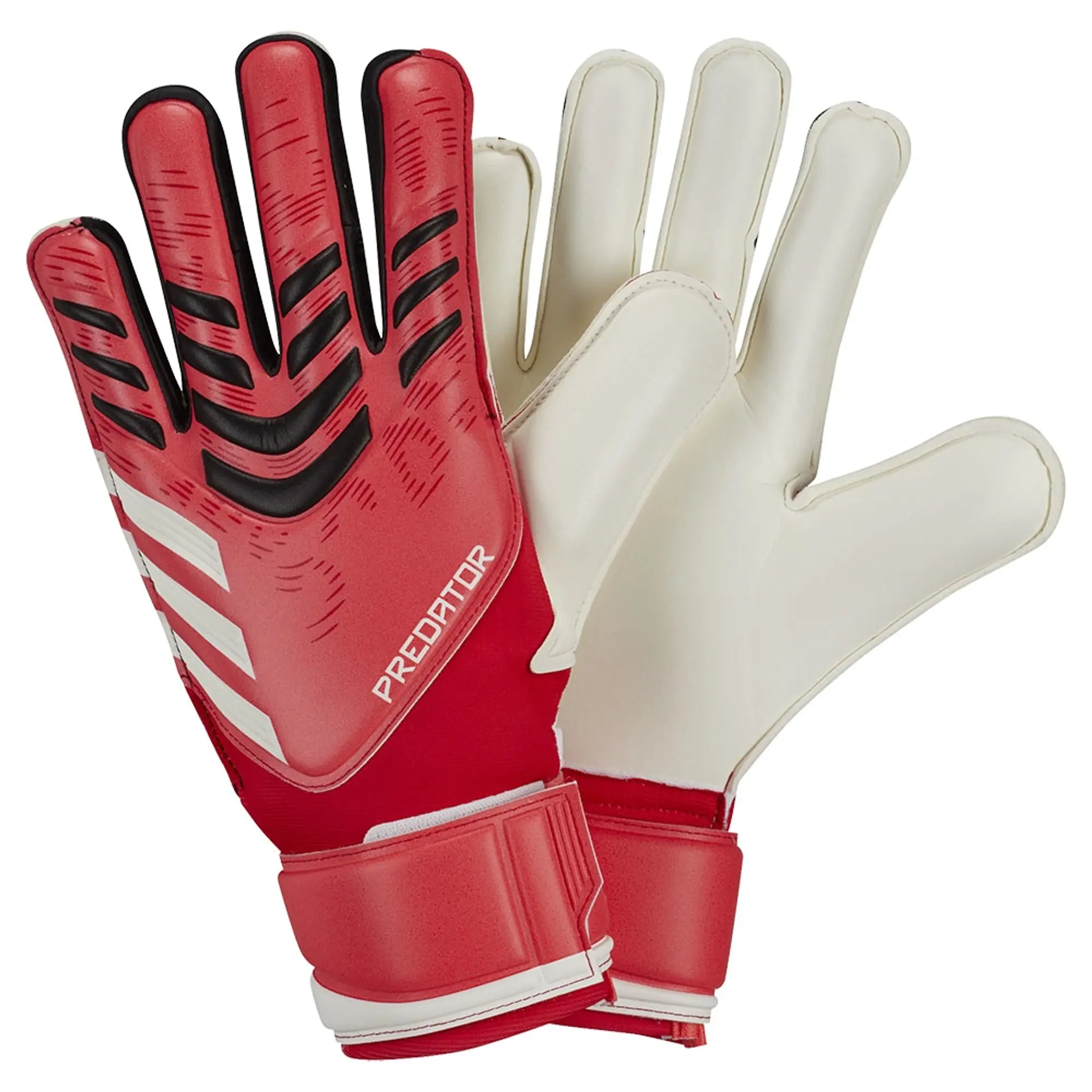 Adidas Predator Match Goalkeeper Gloves