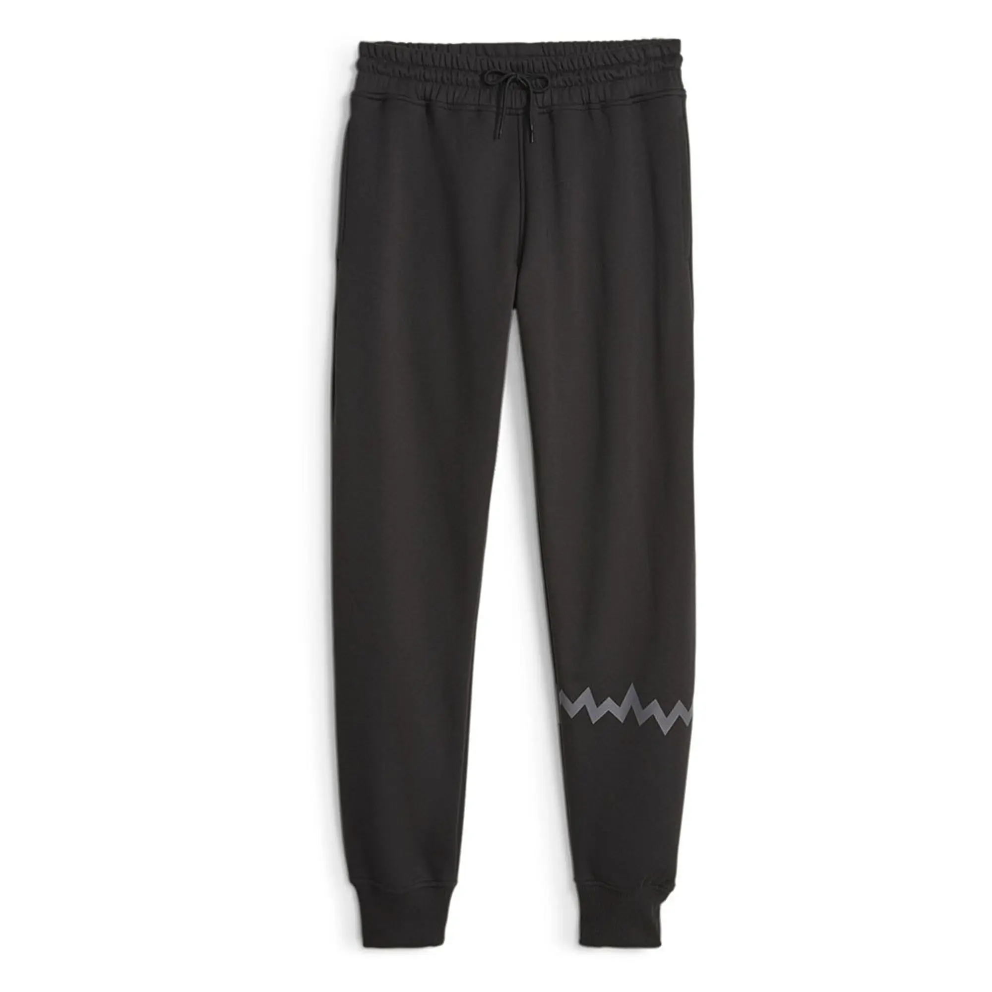 Puma Hoops Team Sweat Pants
