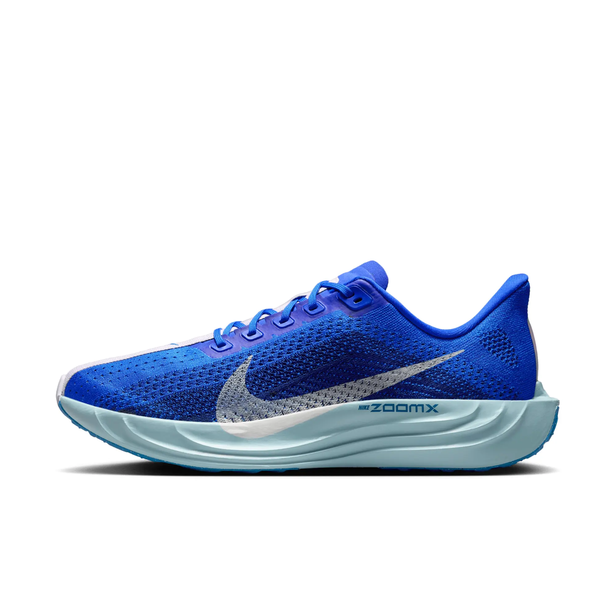 Nike Pegasus Plus Road Running Shoes - Blue