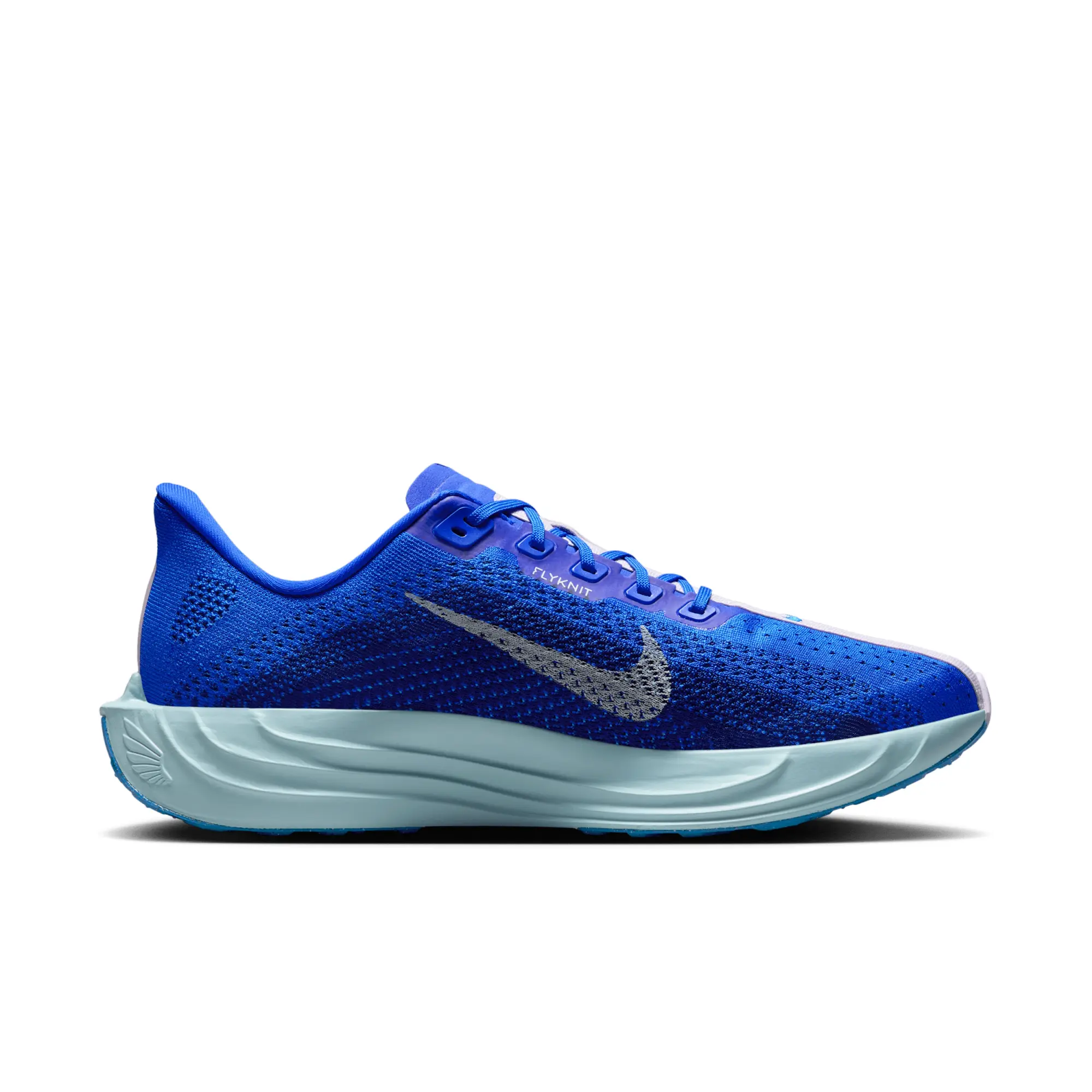 Nike Pegasus Plus Road Running Shoes - Blue