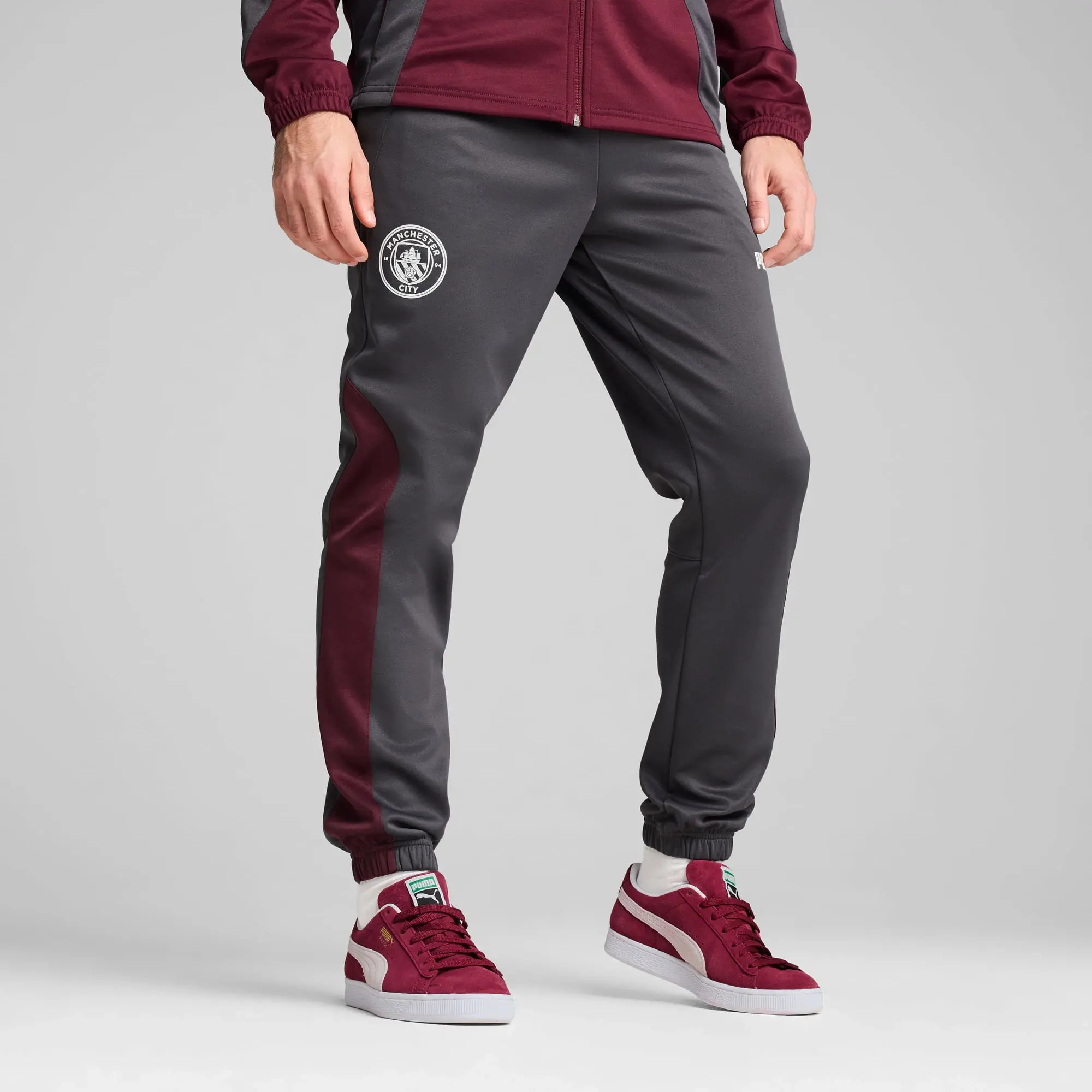 PUMA Manchester City Ftblnrgy+ Pants Men, Dark Rosette/Stormy Slate