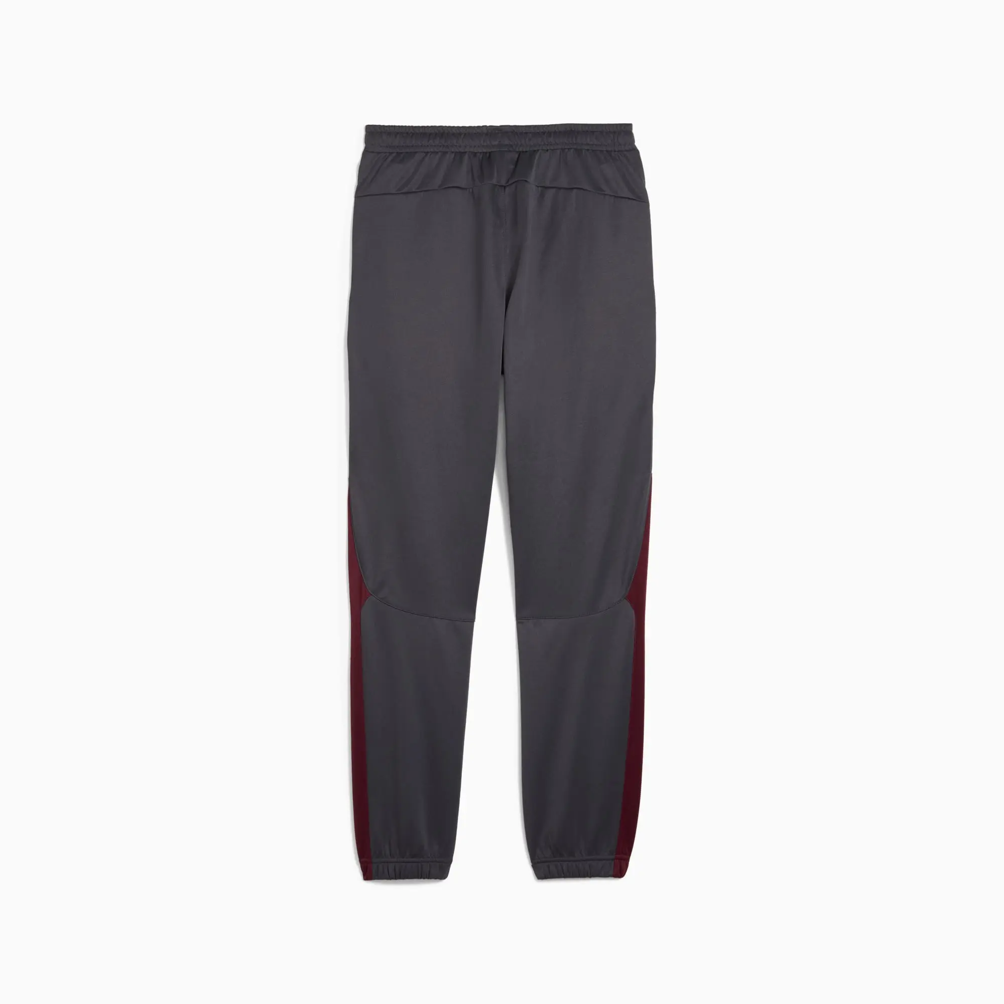 PUMA Manchester City Ftblnrgy+ Pants Men, Dark Rosette/Stormy Slate