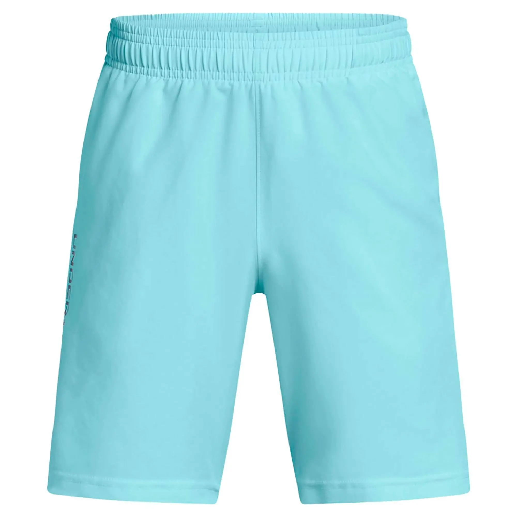 Under Armour Tech Woven Wordmark Shorts