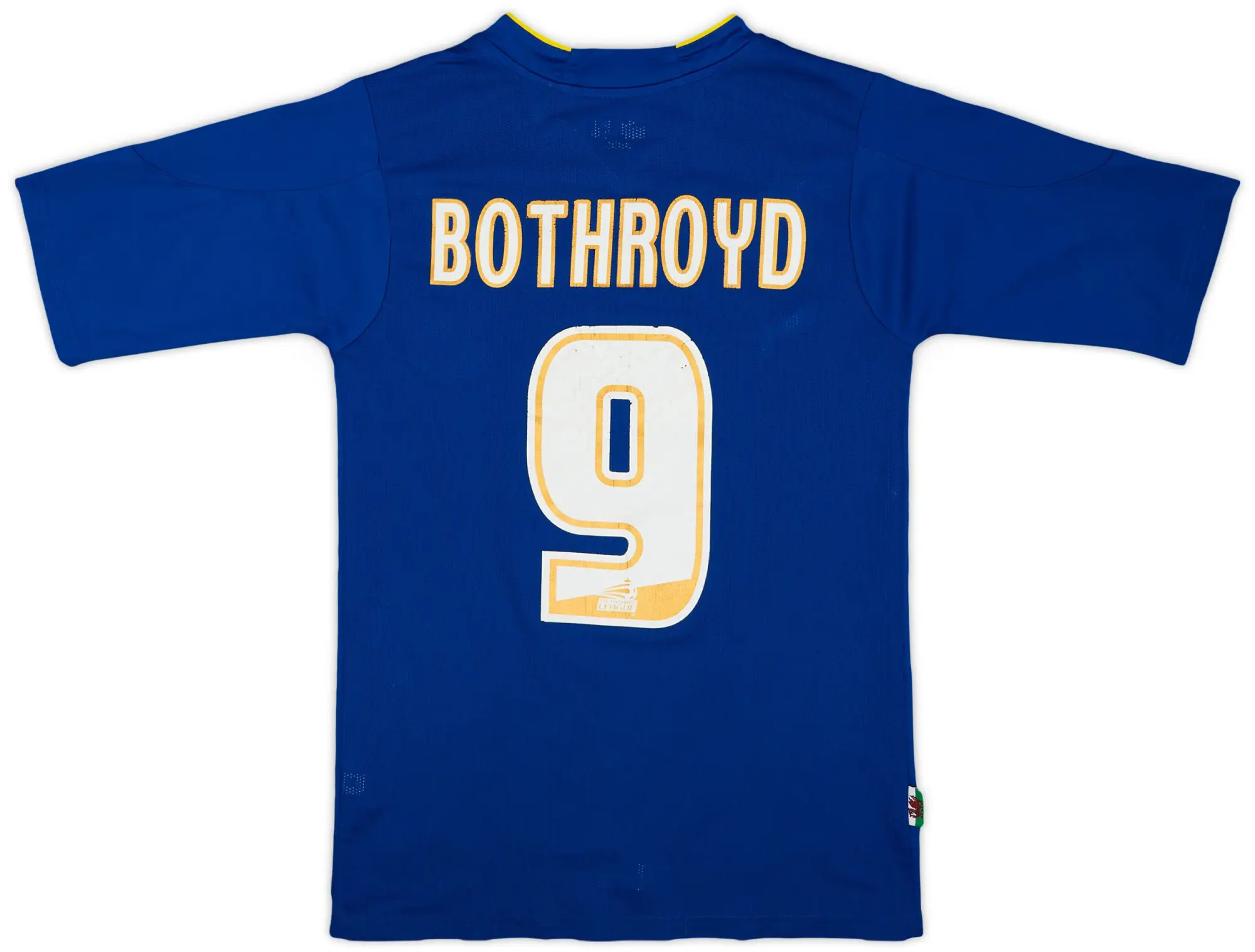 Puma 2010-11 Cardiff Home Shirt Bothroyd #9 - 4/10 - (S)
