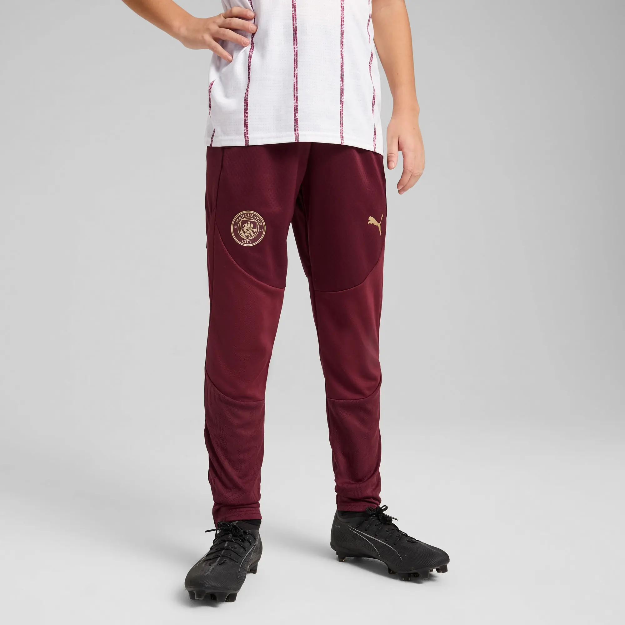 PUMA Manchester City Training Pants Youth, Dark Jasper